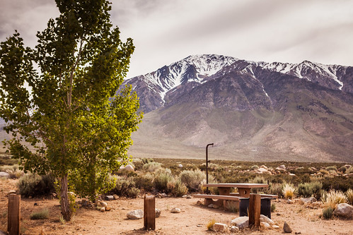 Fish Creek Camp
