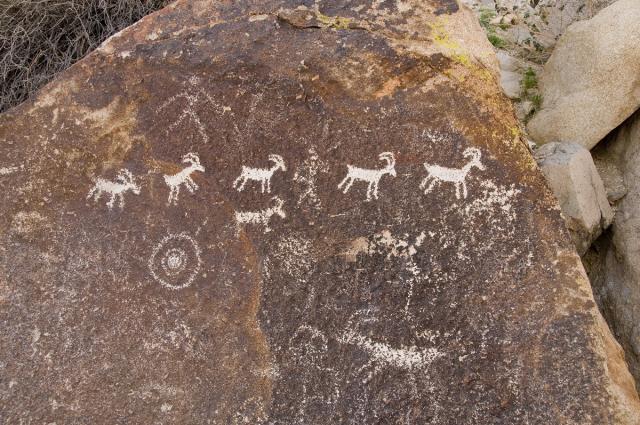 Hickison Petroglyph Rec Sit