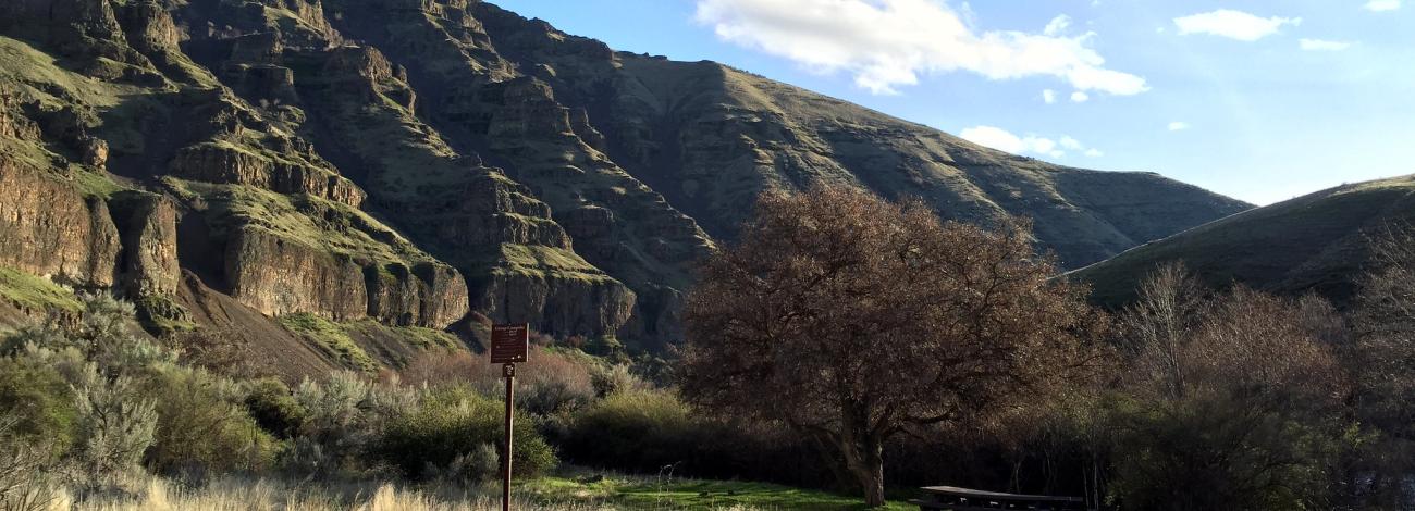 Rattlesnake Canyon Campground