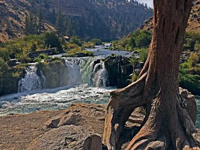 Steelhead Falls Campground