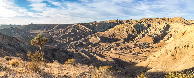 The Washes