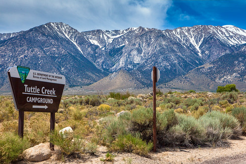 Turkey Creek Camp Sites