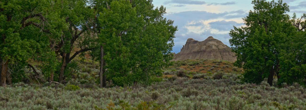 Woodhawk Recreation Area