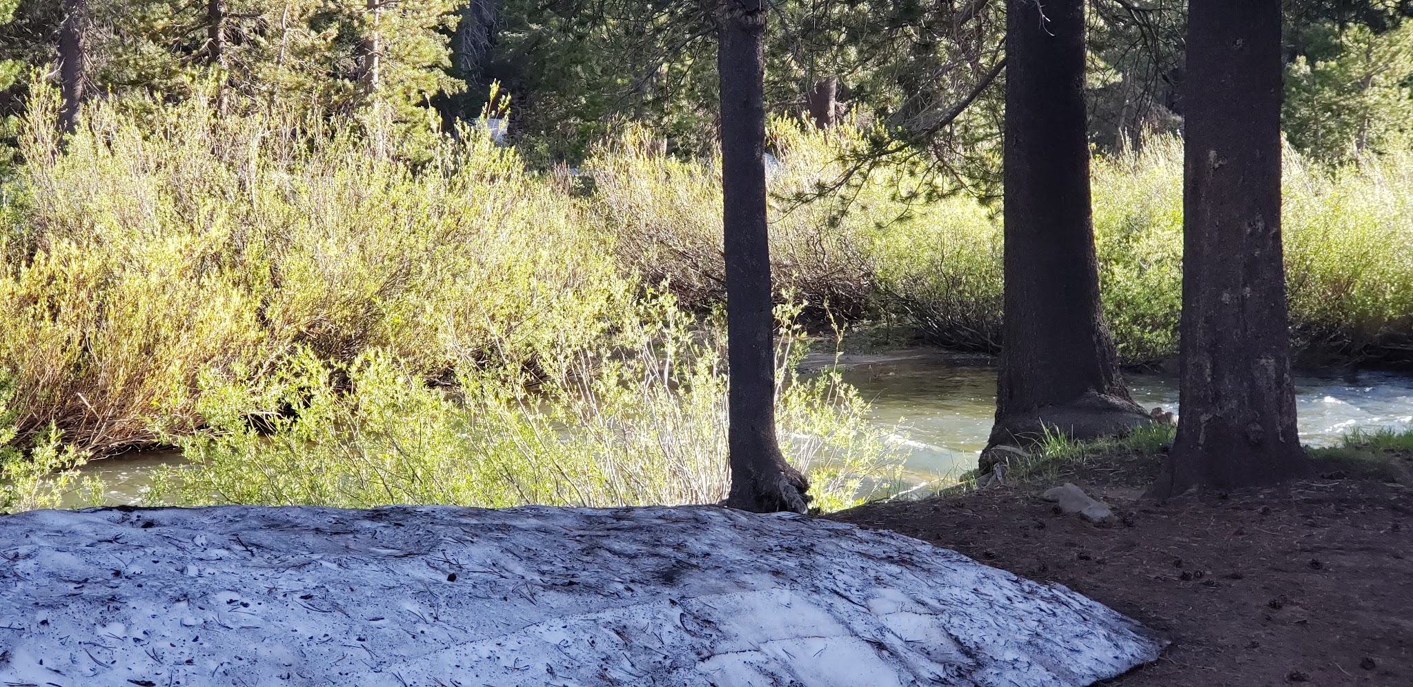 Bloomfield Campground