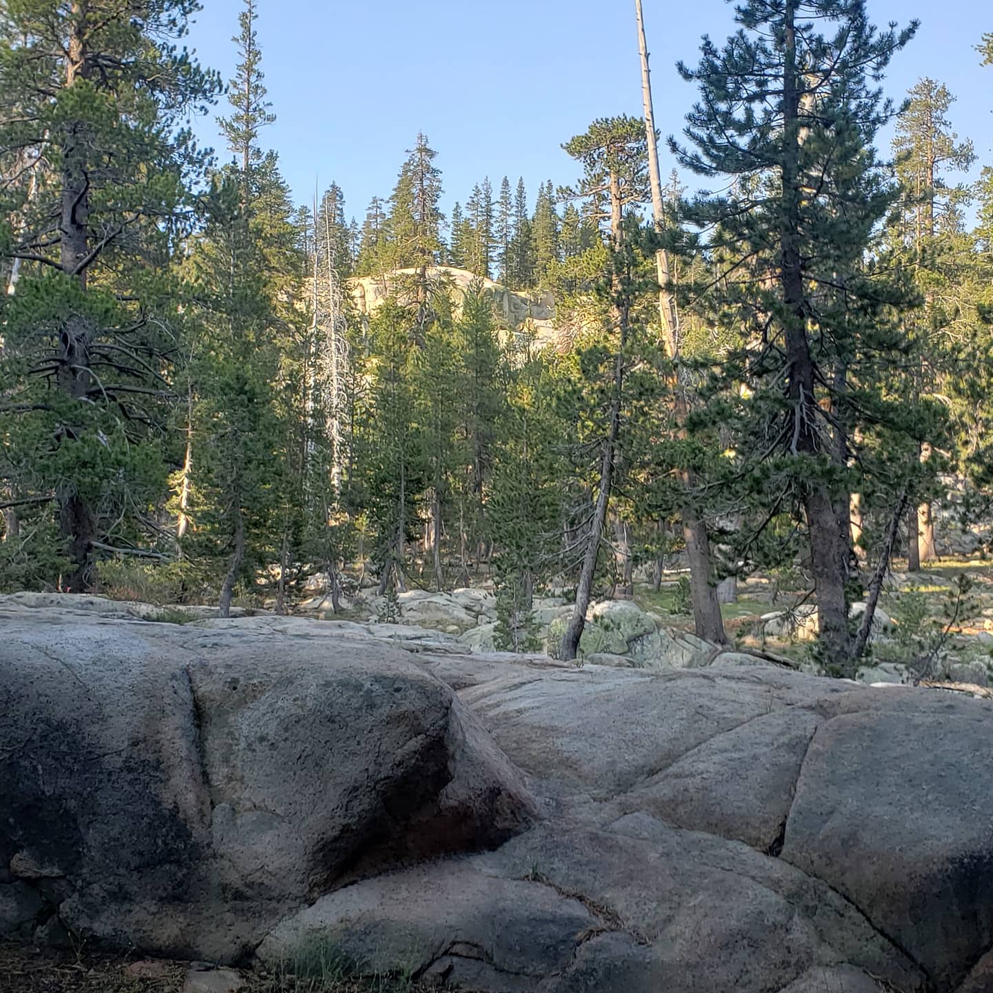 Bloomfield Campground