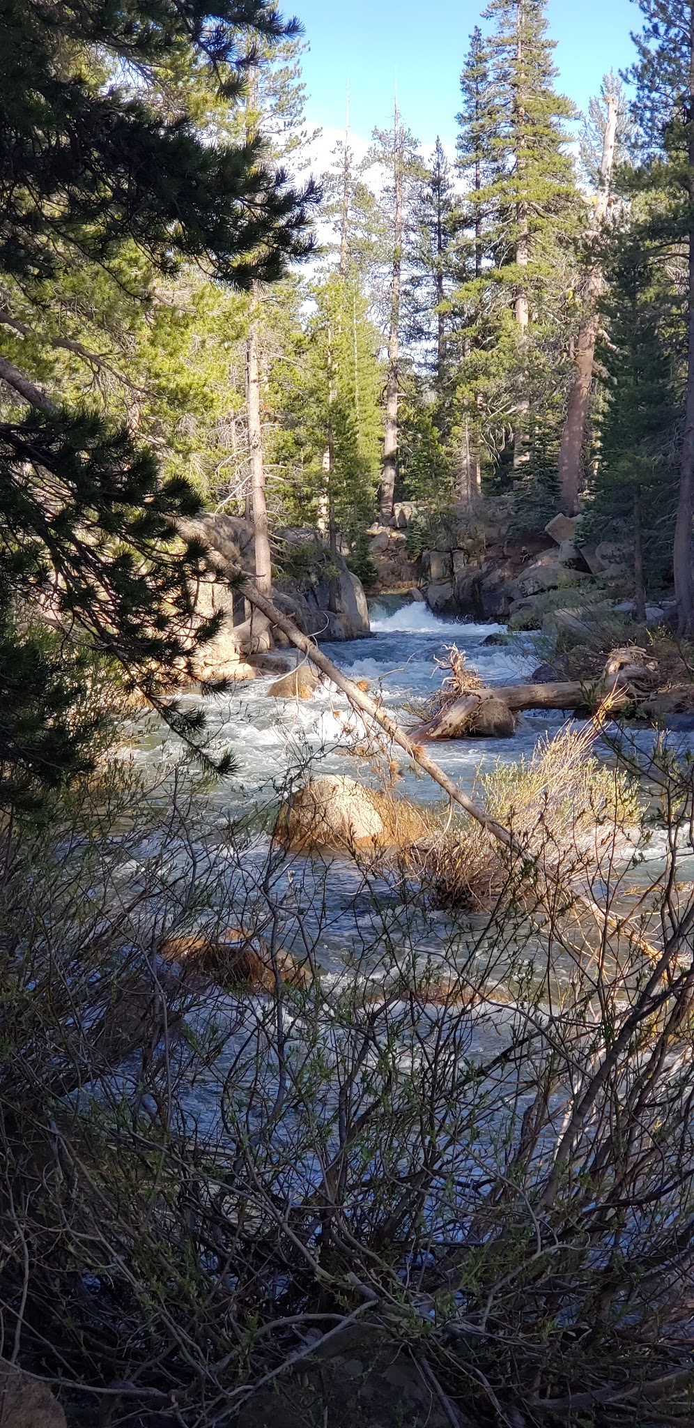 Bloomfield Campground