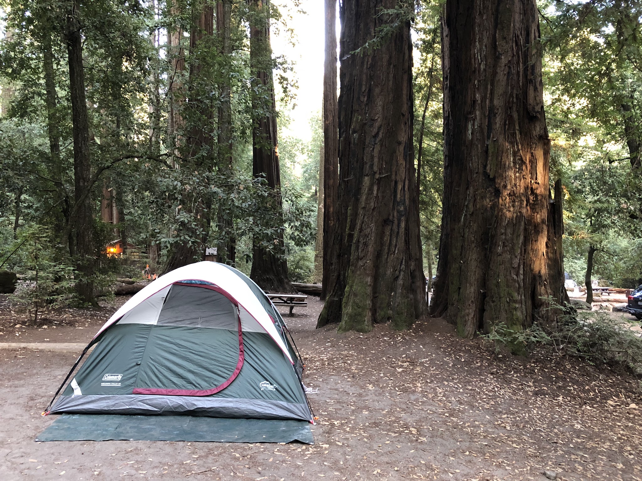 Blooms Creek Campground - Big Basin Redwoods SP