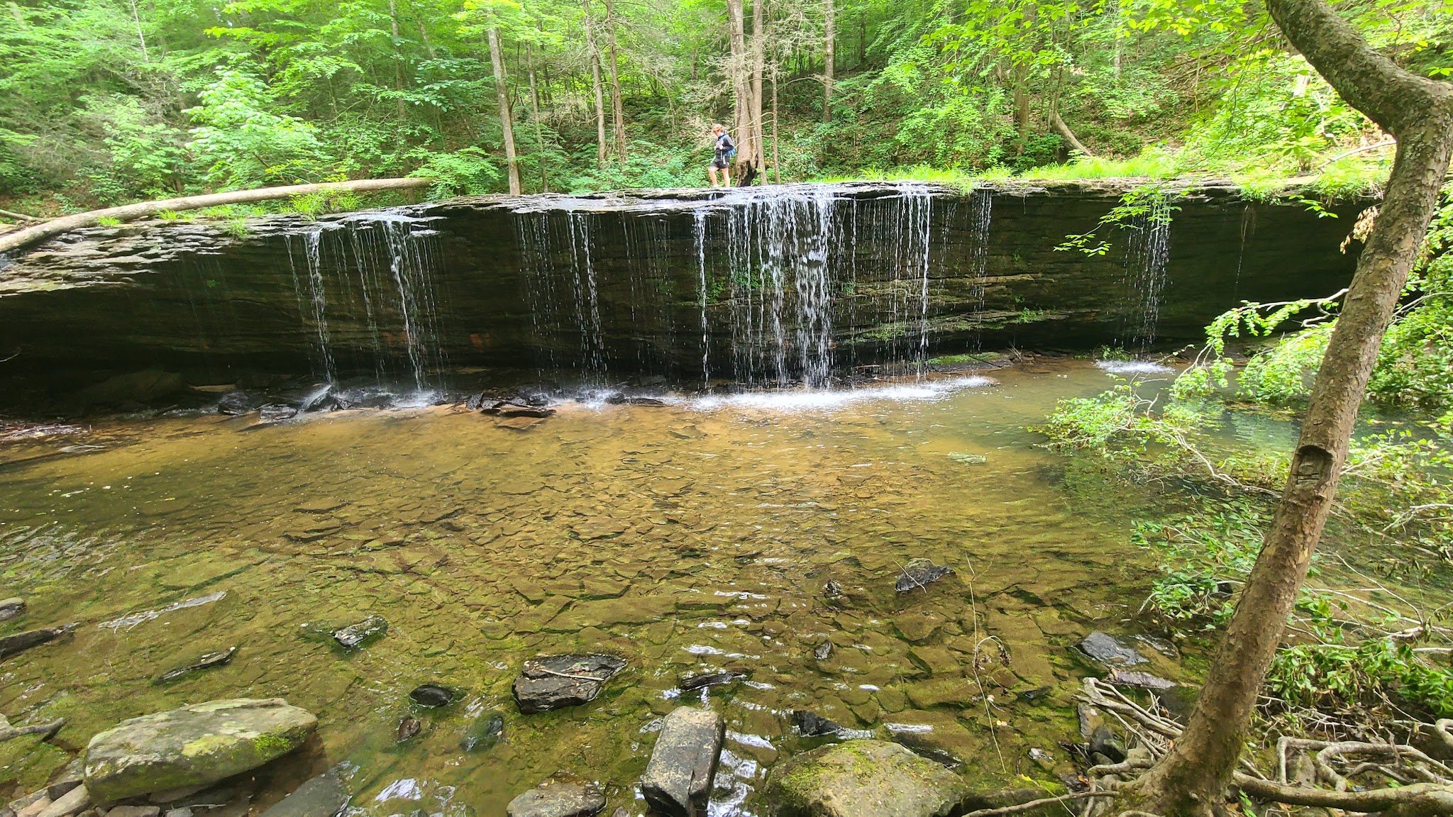 Blue Heron Campground