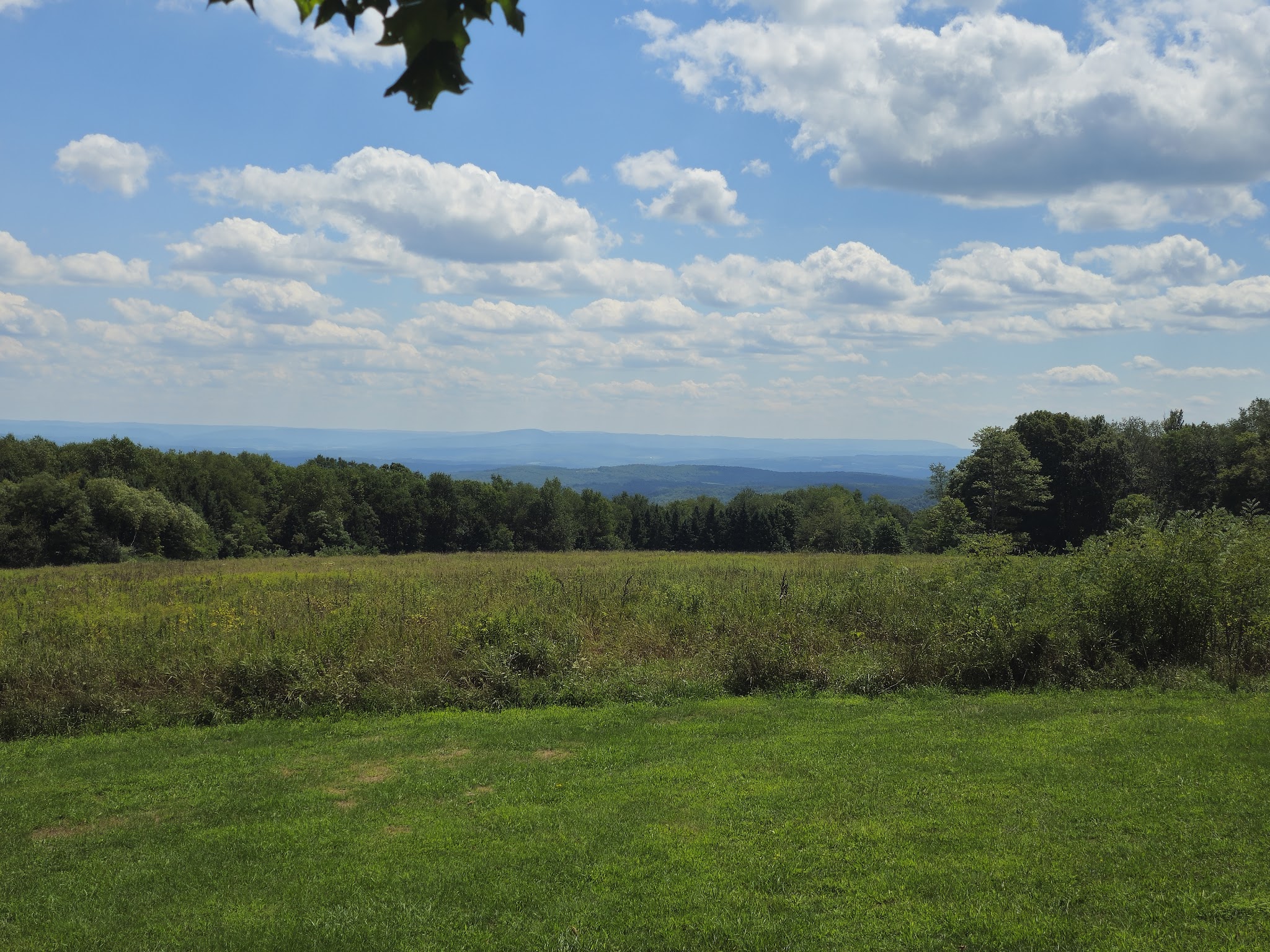 Blue Knob State Park