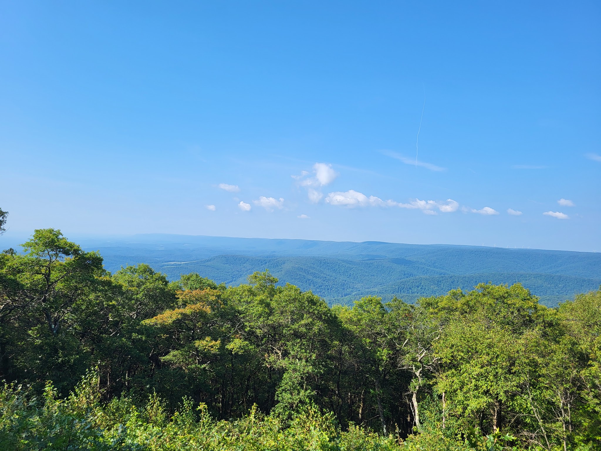 Blue Knob State Park