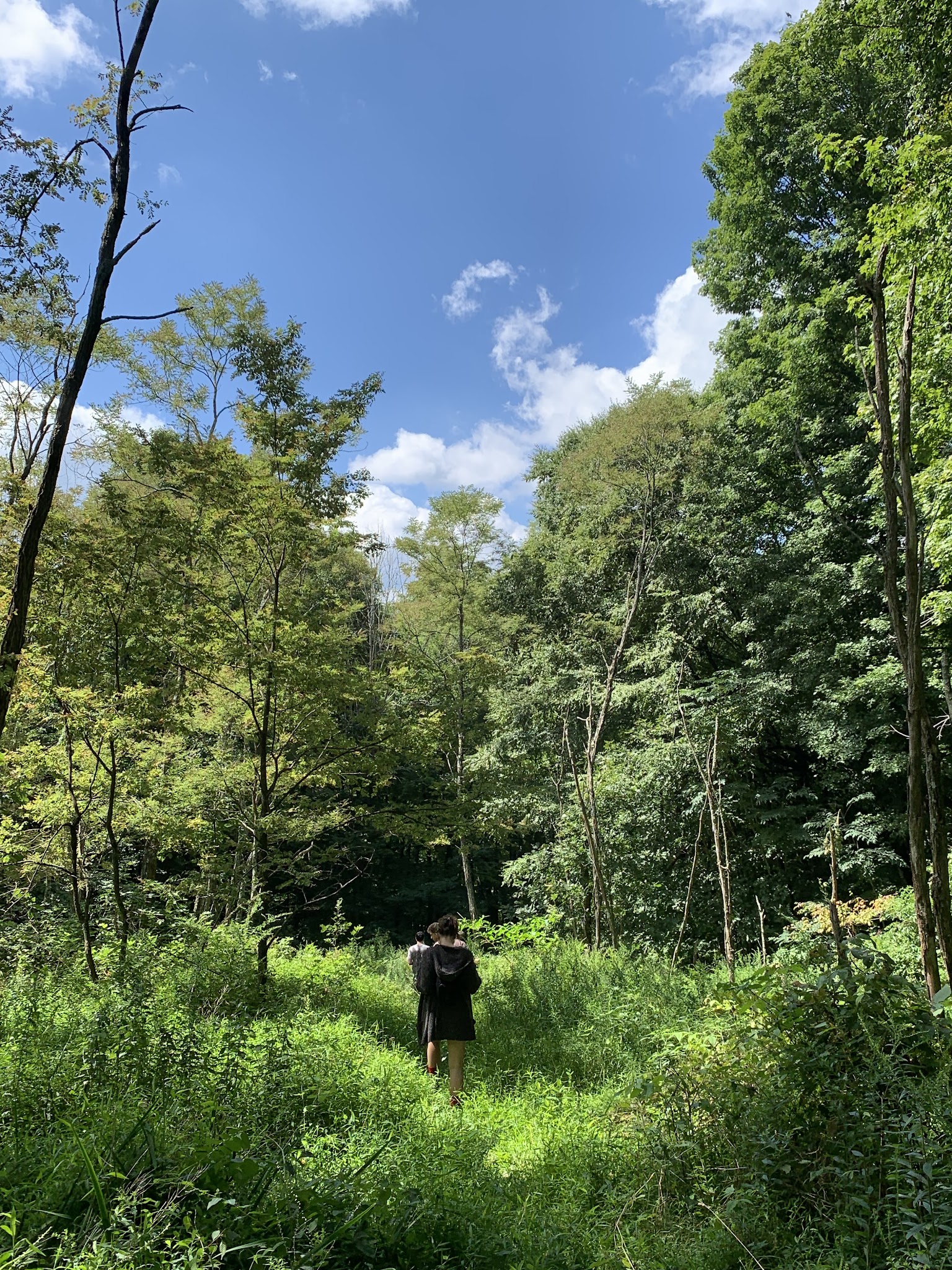 Blue Knob State Park