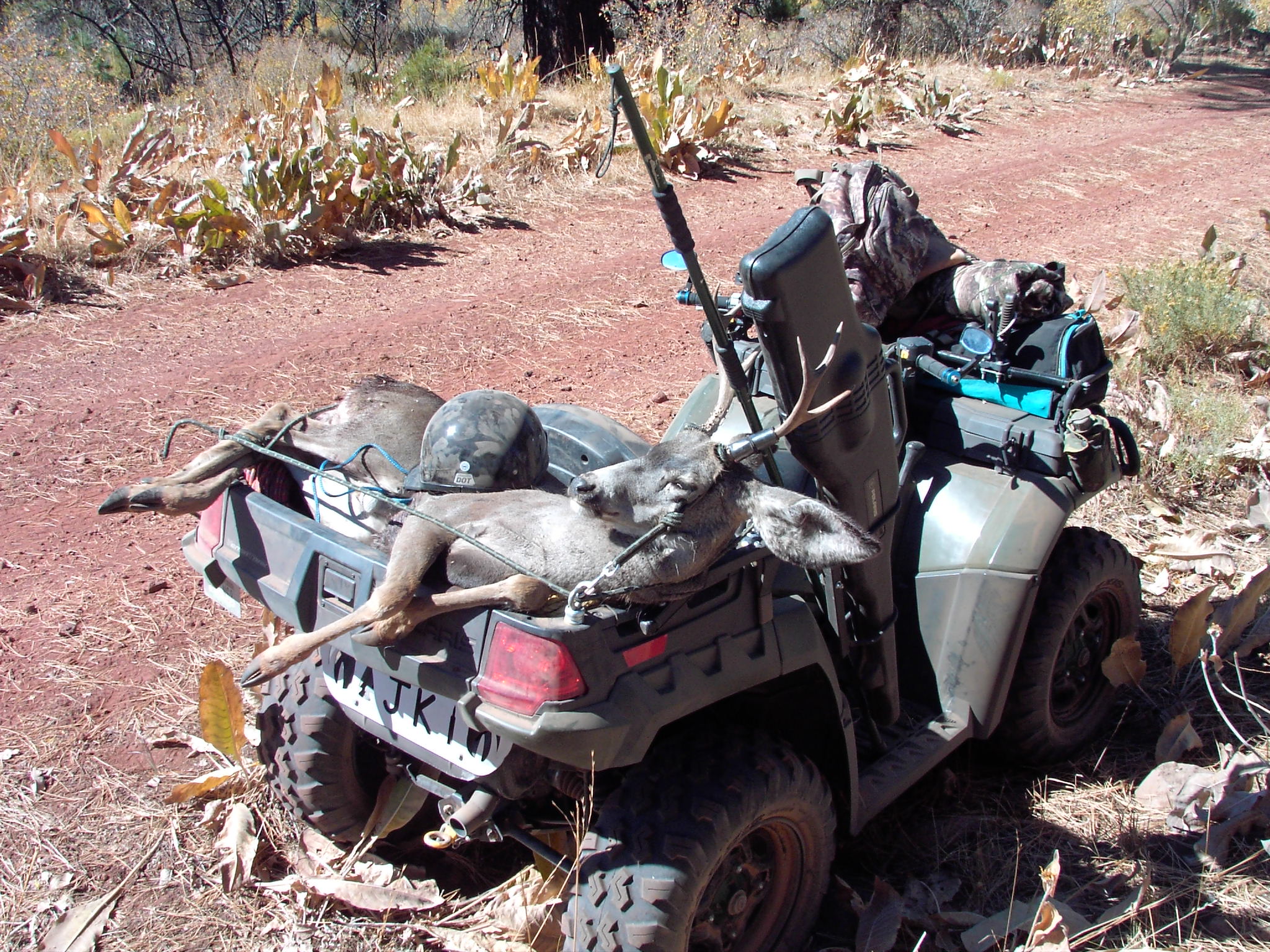 Blue Lake Campground
