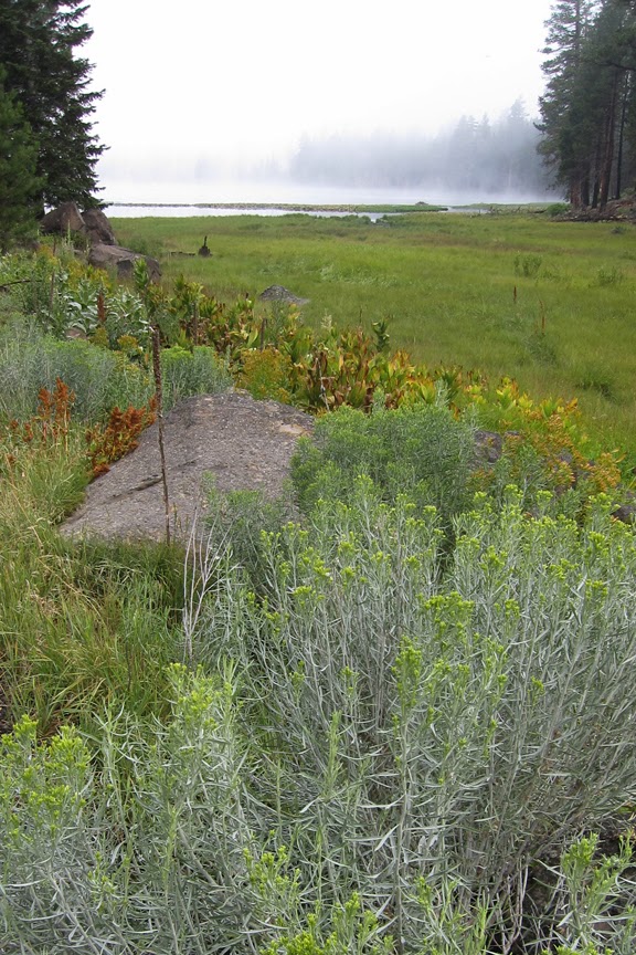 Blue Lake Campground