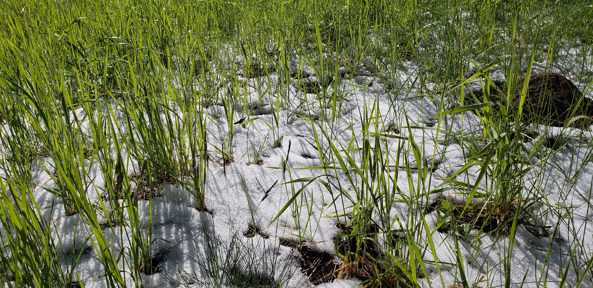 Blue Lake Campground