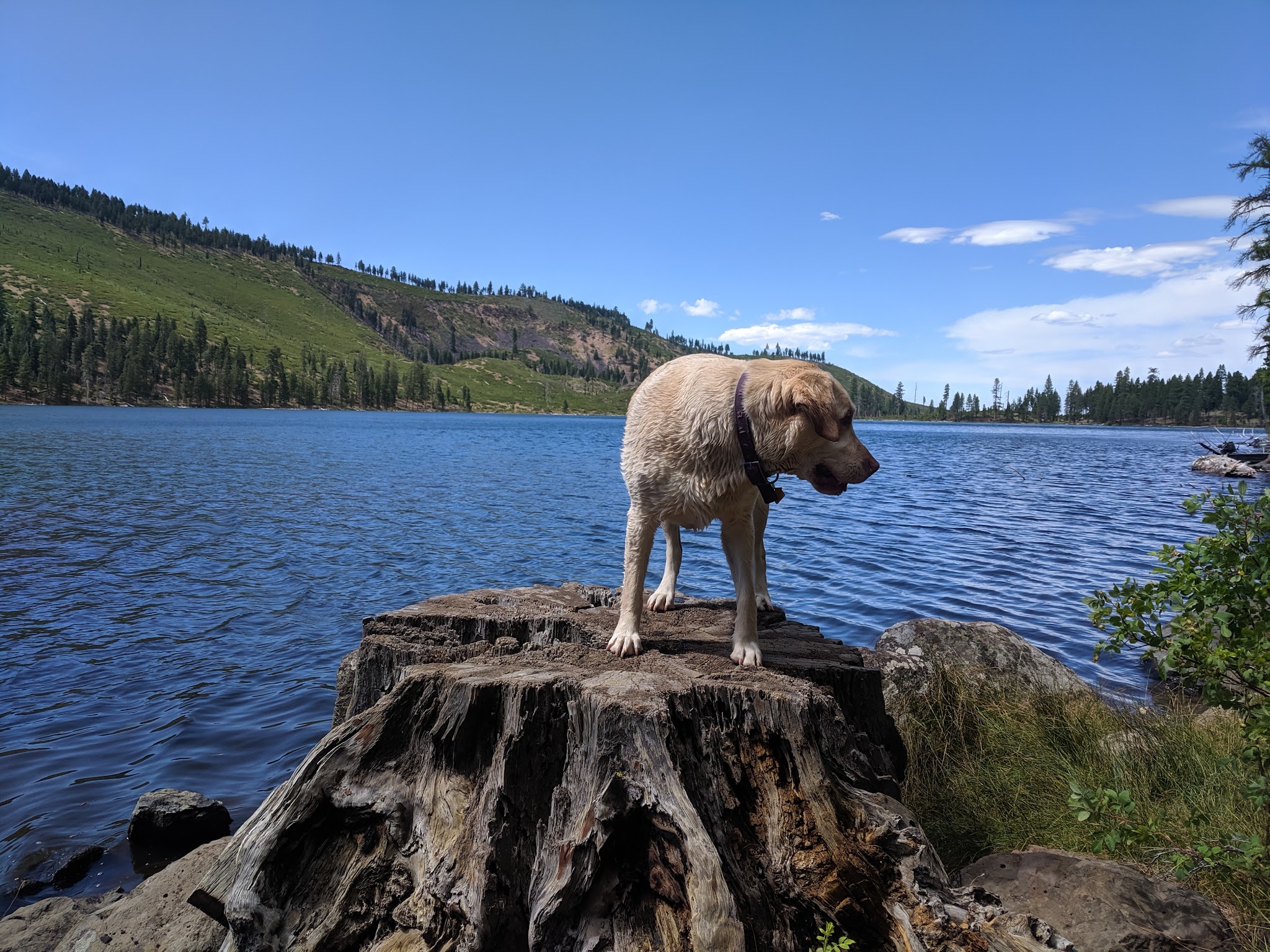 Blue Lake Campground