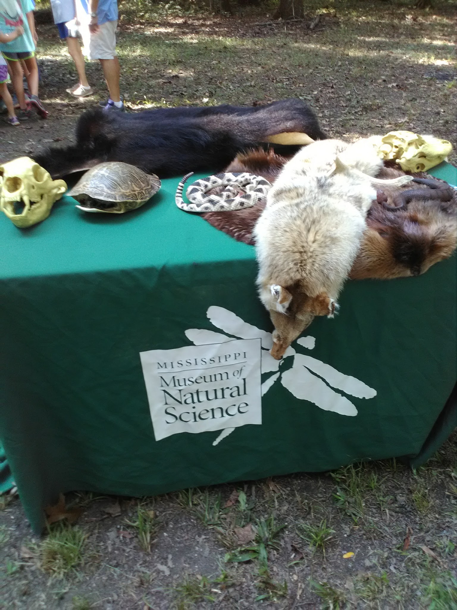 Blue Lake Recreation Area