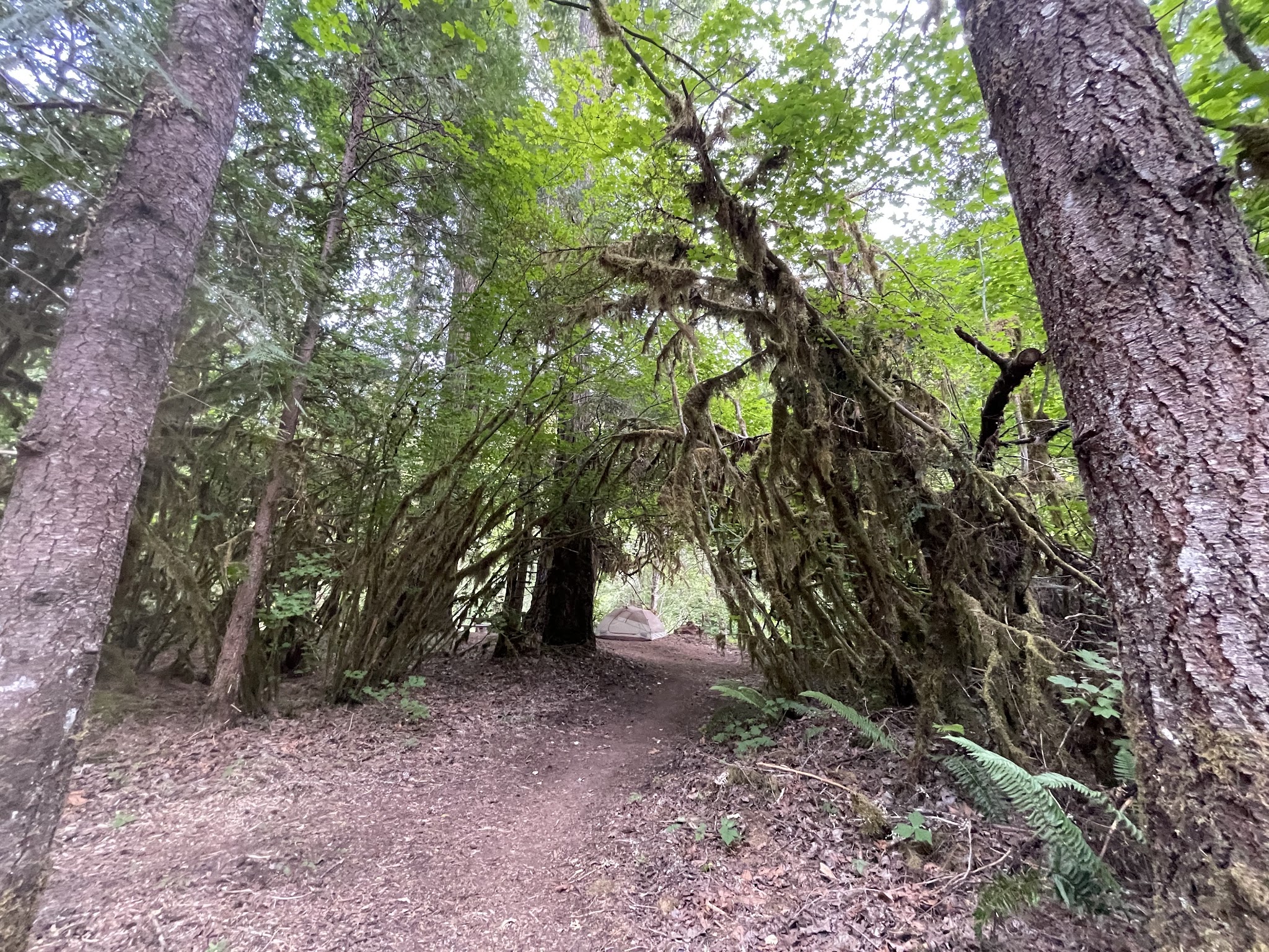 Blue Pool Campground (Middle Fork Ranger District)