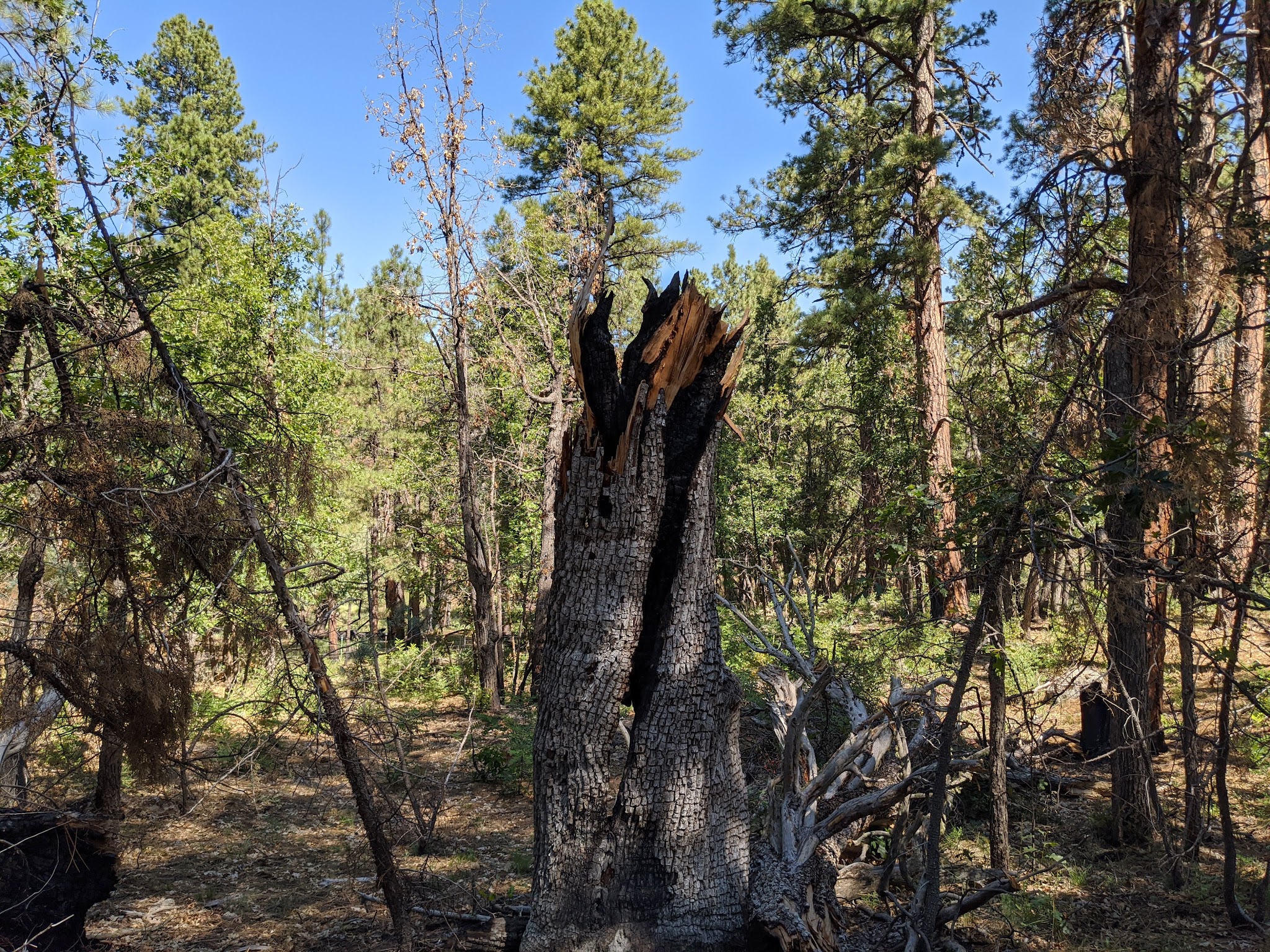 Blue Ridge Campground