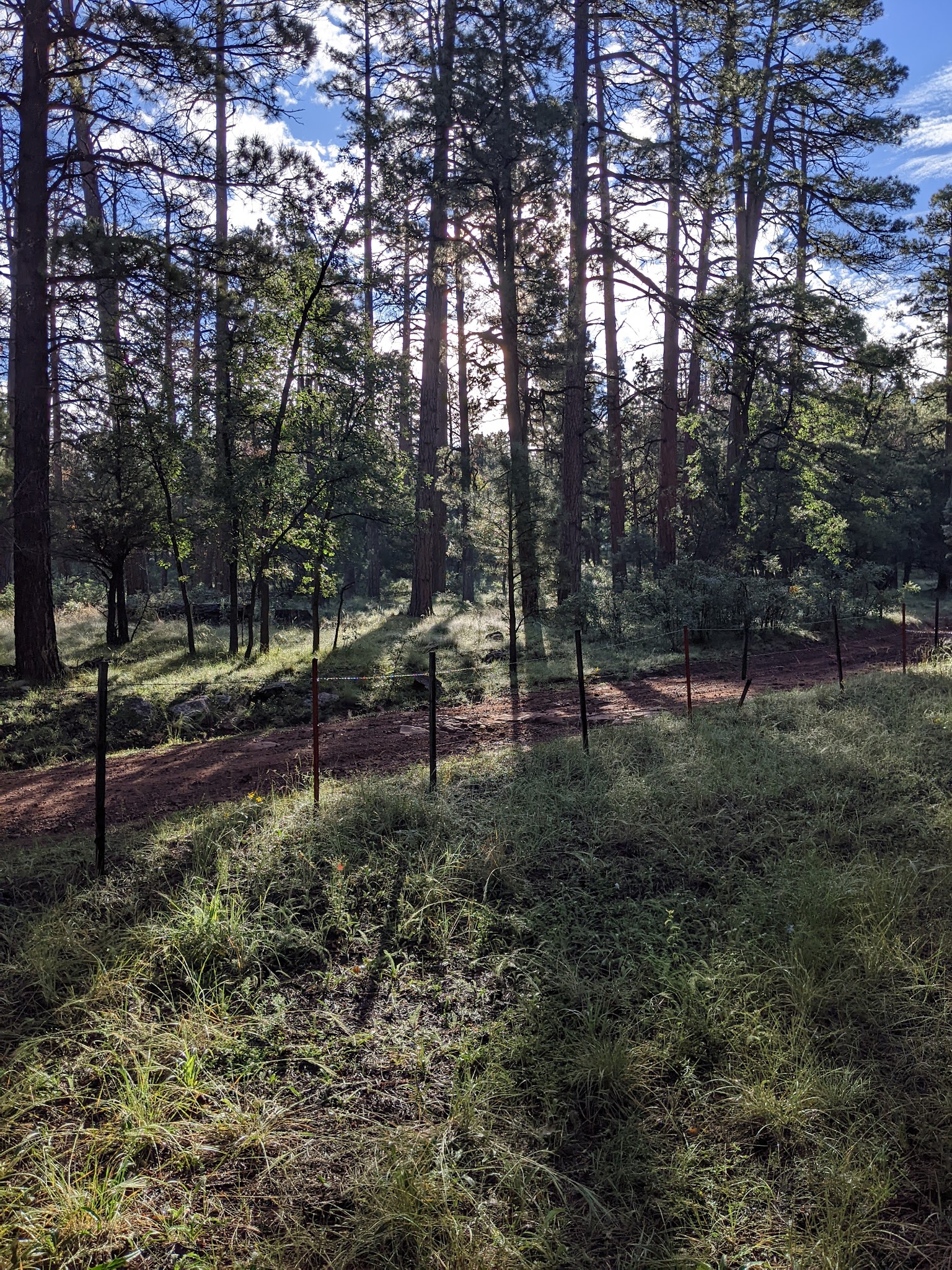 Blue Ridge Campground