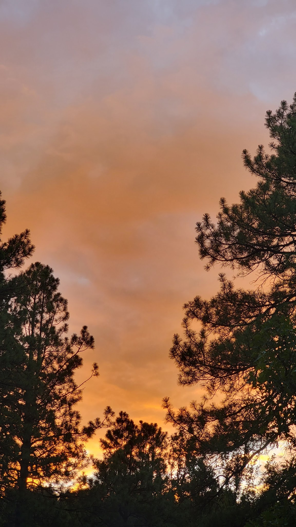 Blue Ridge Campground