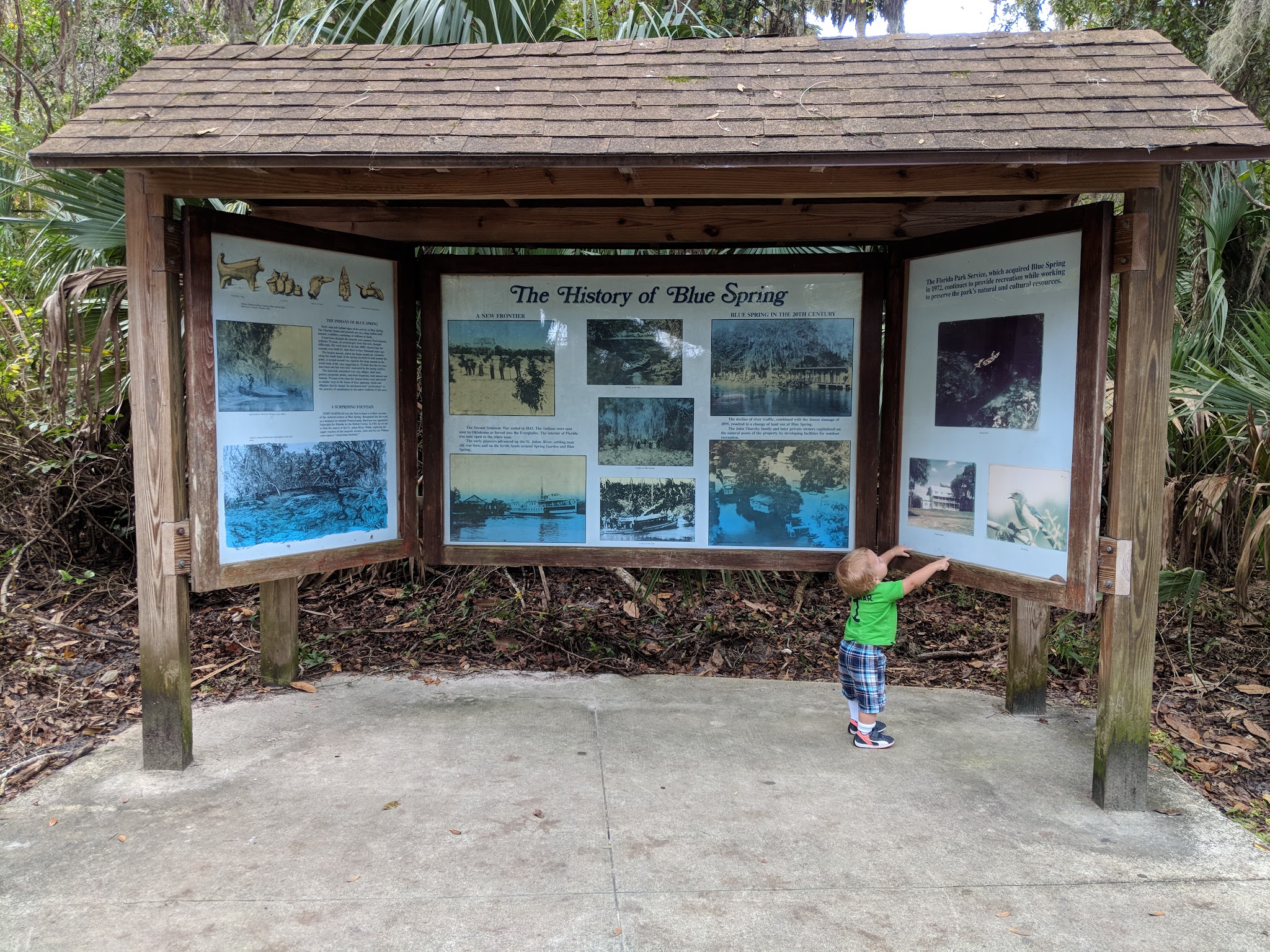 Blue Springs State Park Campground