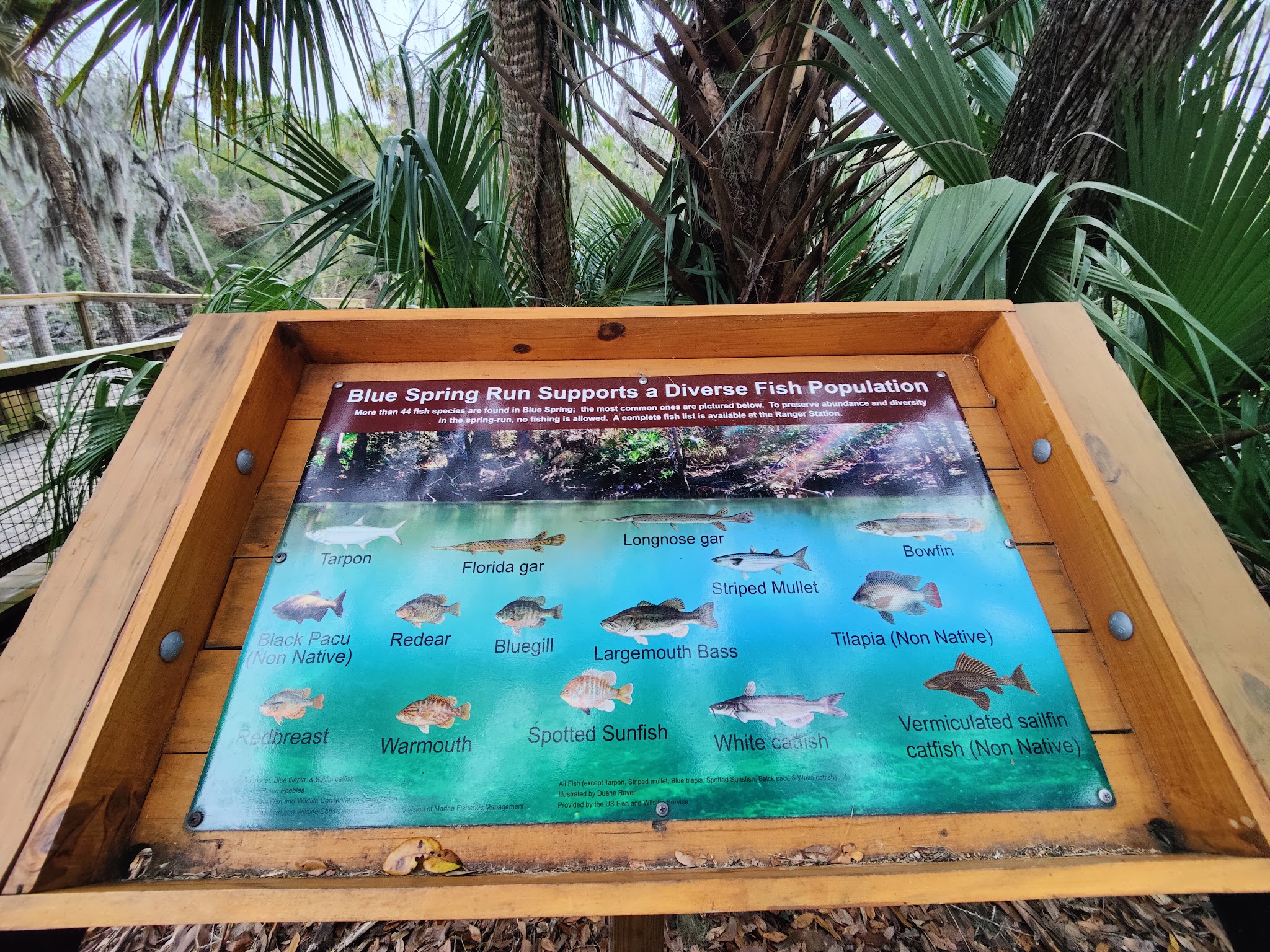 Blue Springs State Park Campground