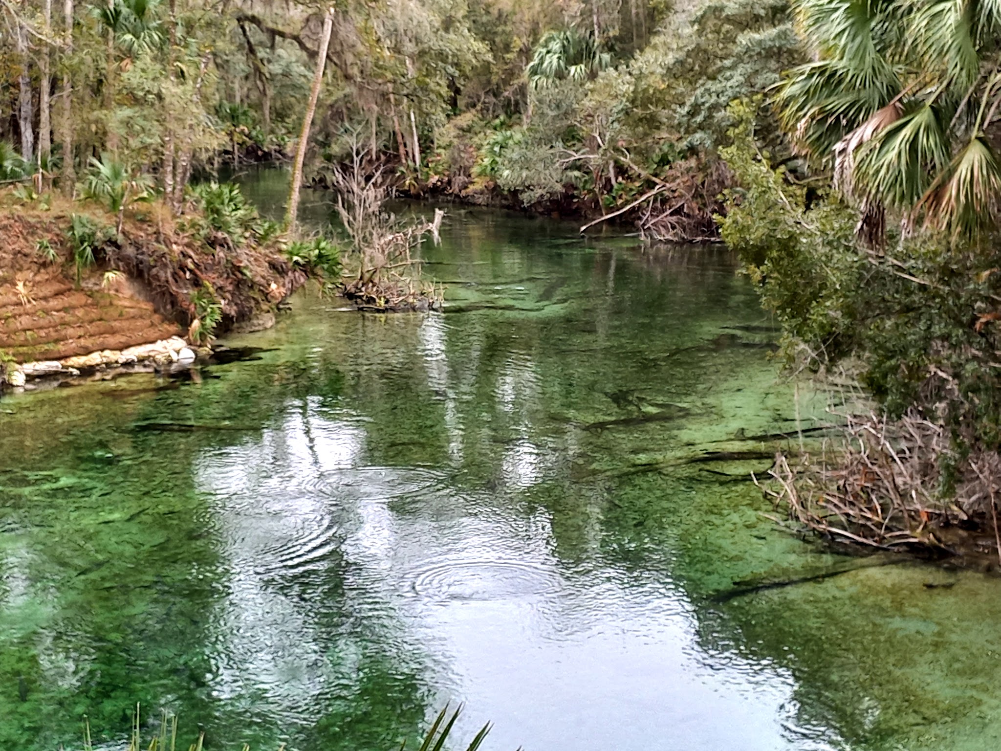Blue Springs State Park Campground