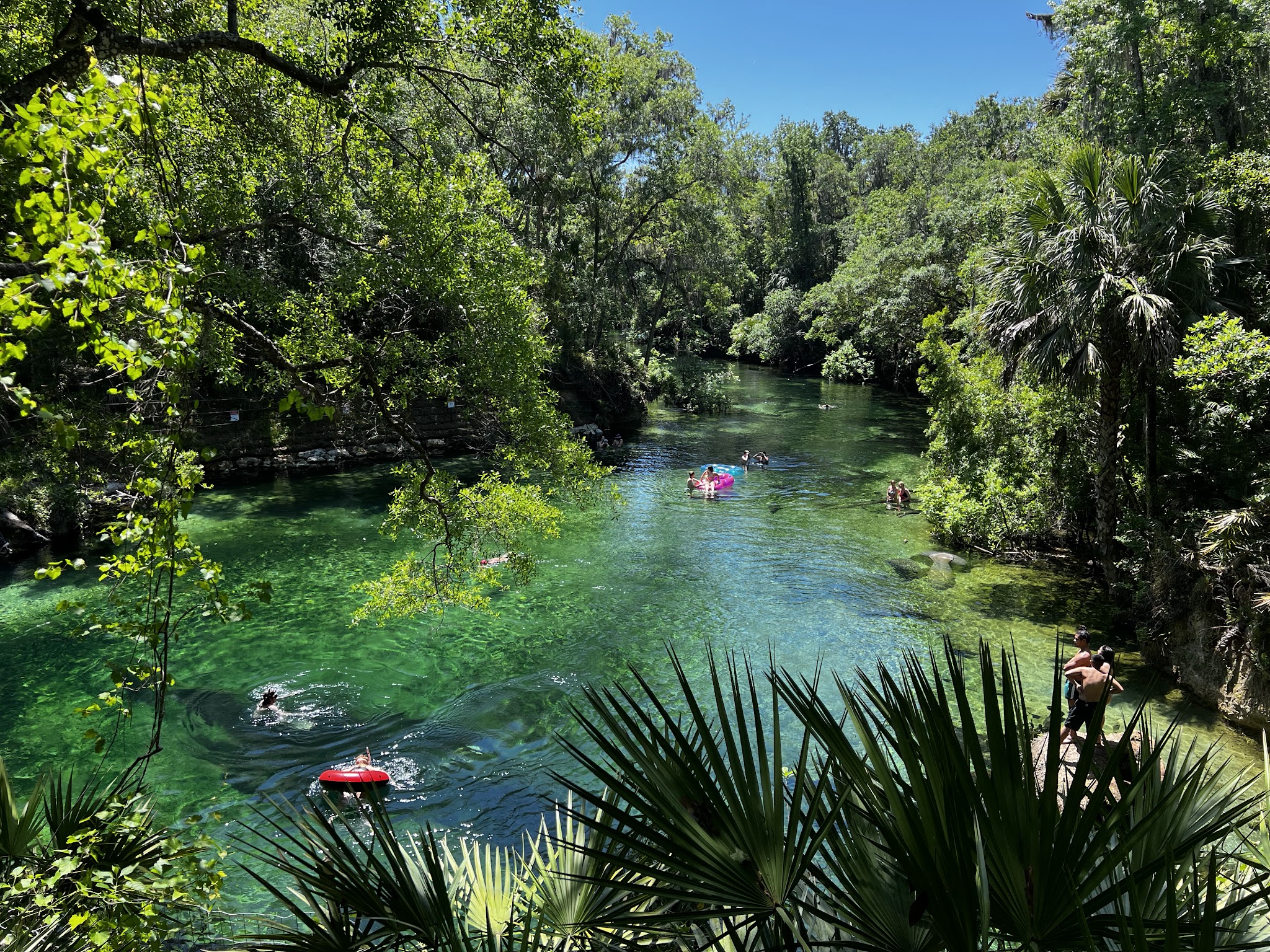 Blue Springs State Park Campground