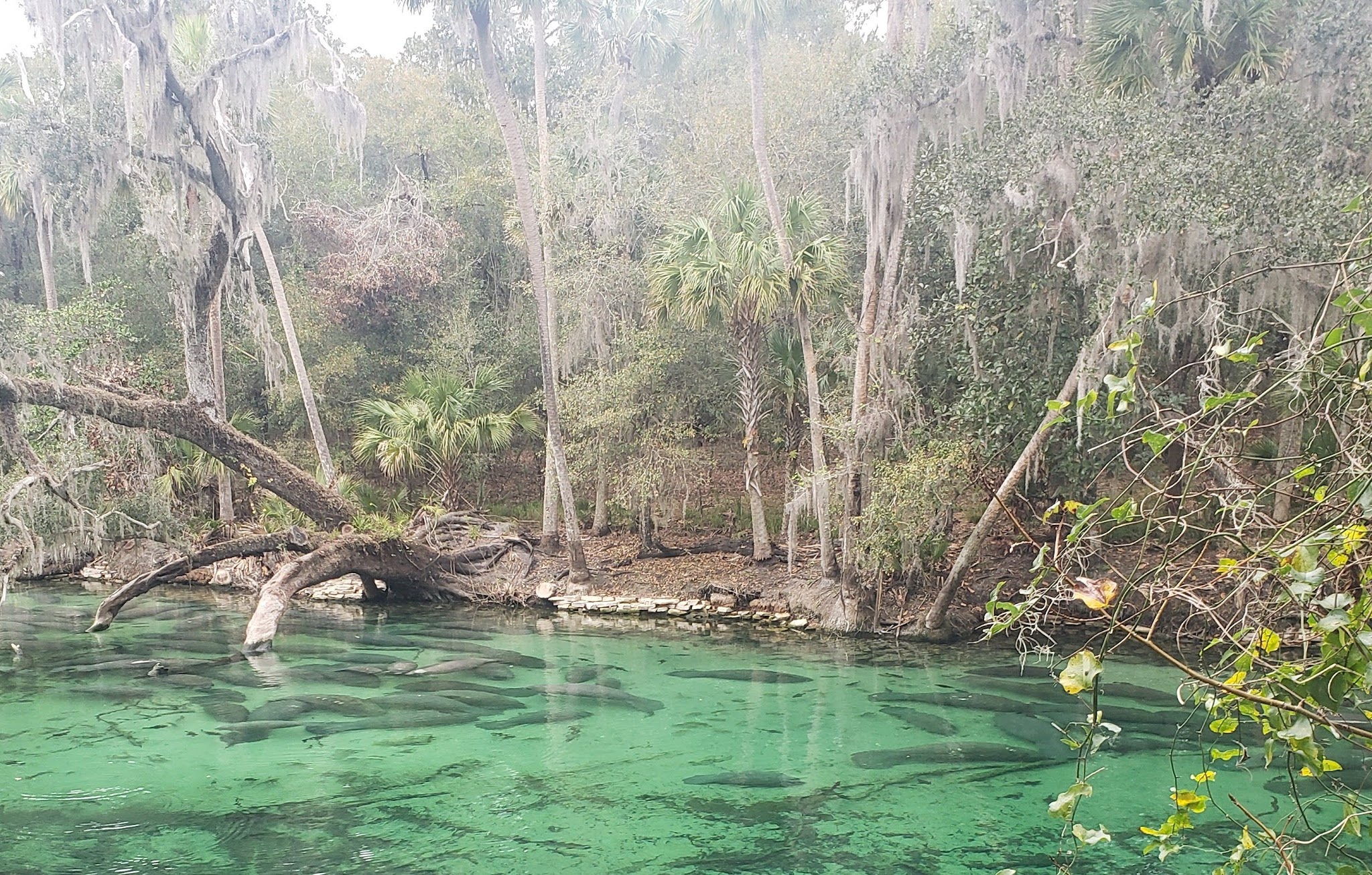 Blue Springs State Park Campground