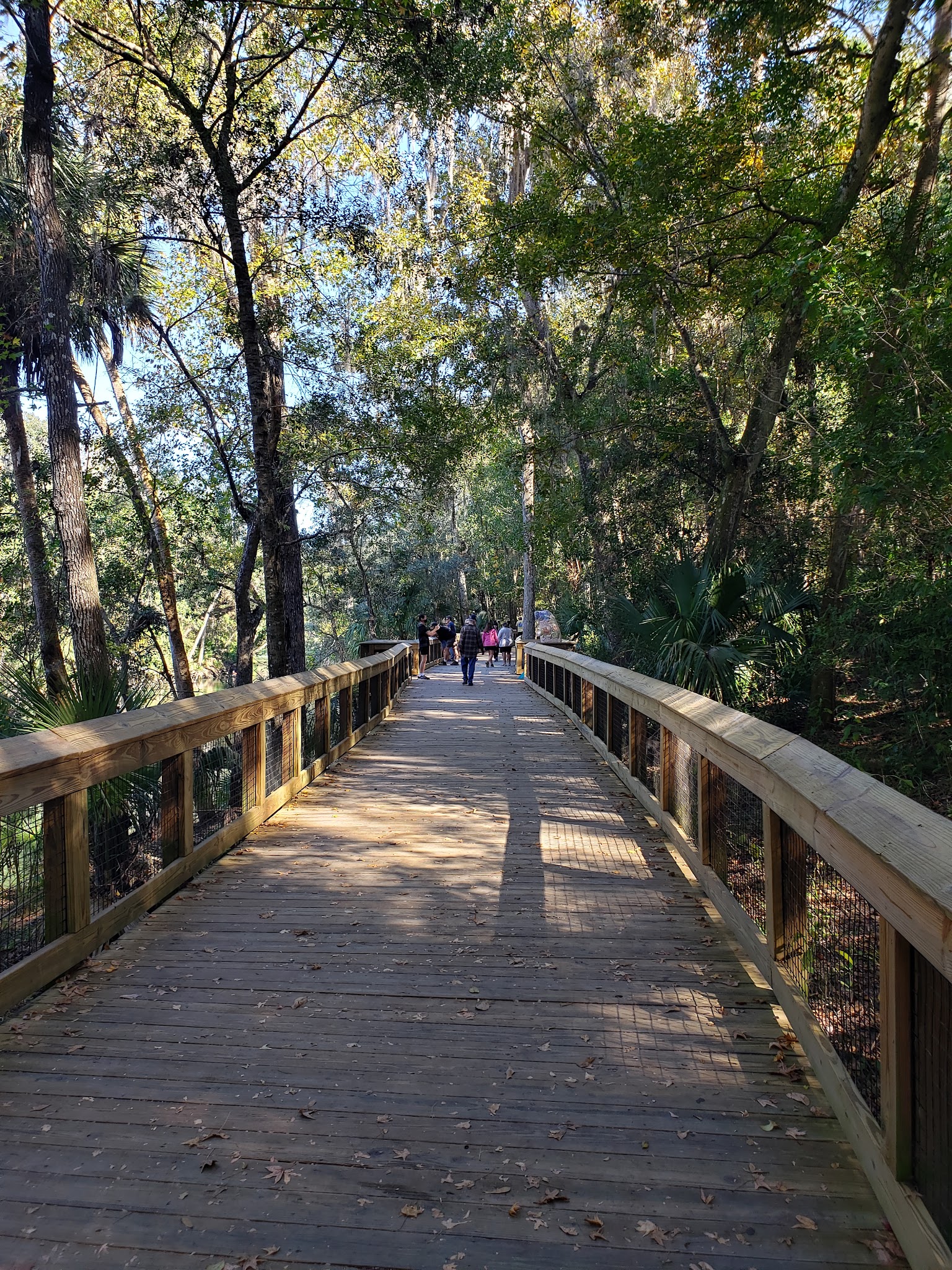 Blue Springs State Park Campground