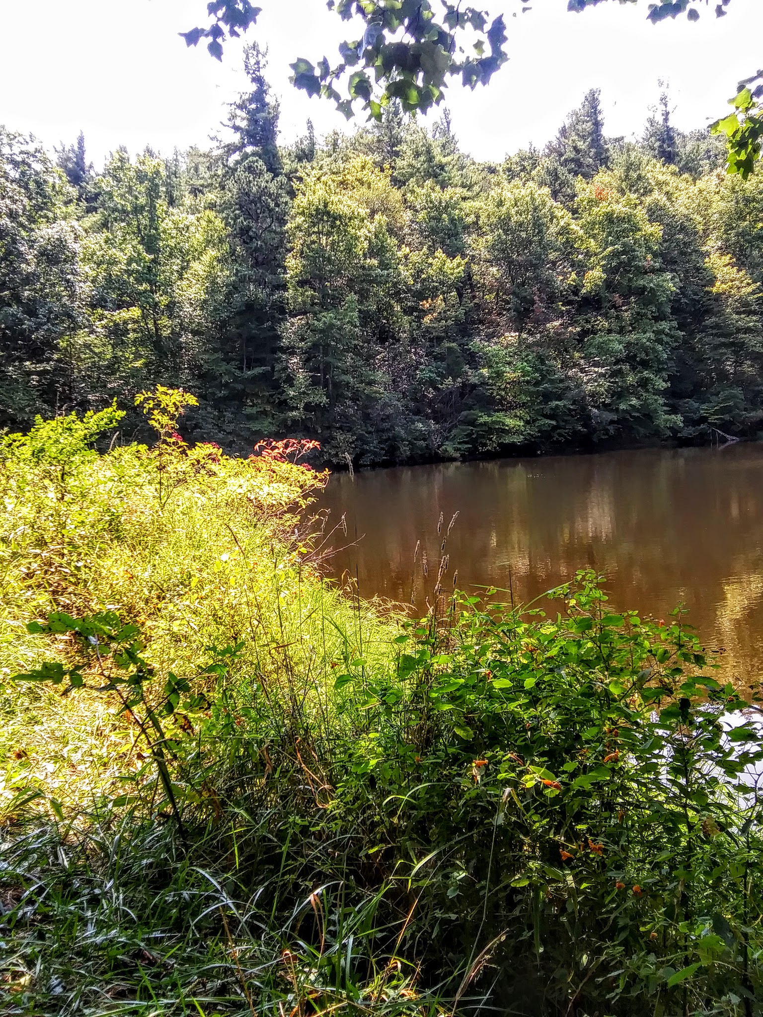 Blue Springs Gap Cabin