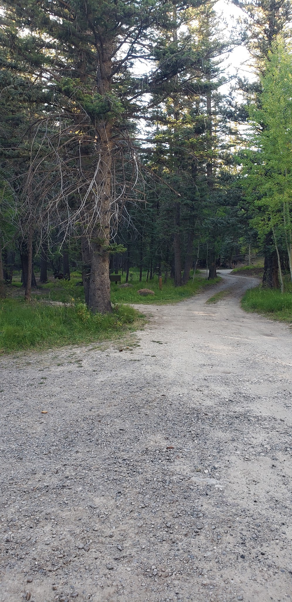 Blue Spruce Campground