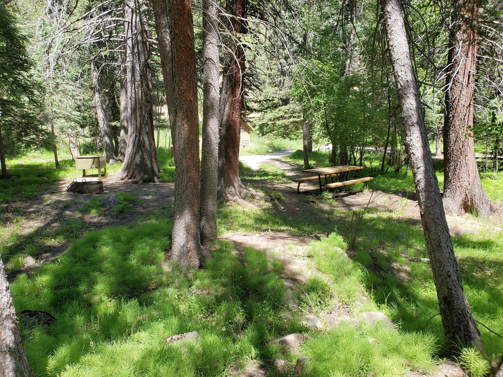 Blue Spruce Campground