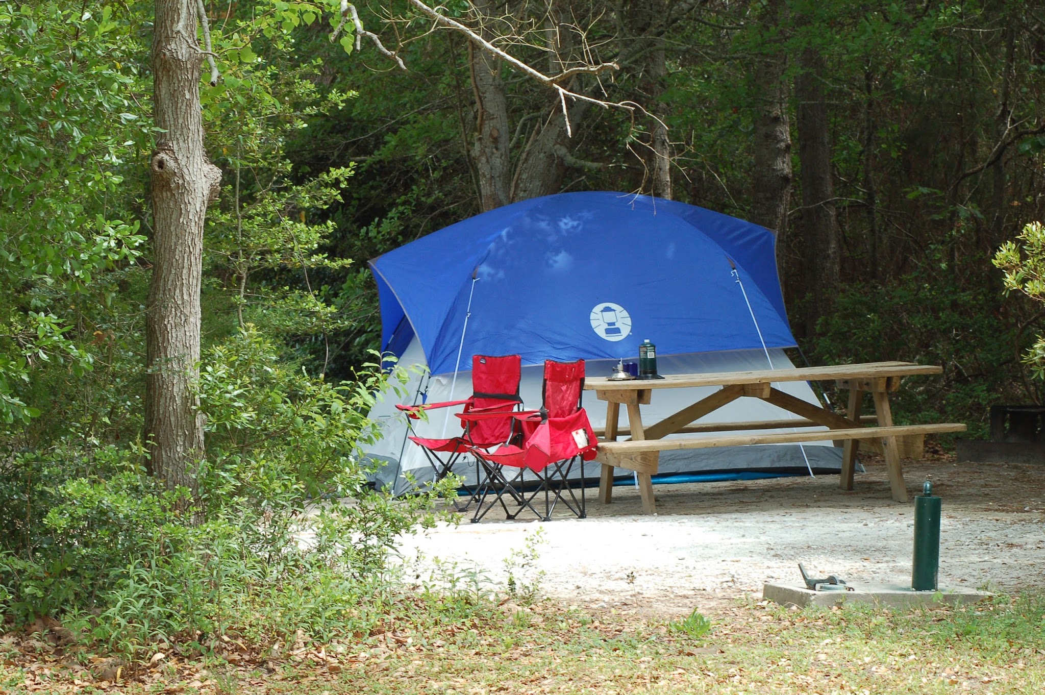 The Campground At James Island County Park
