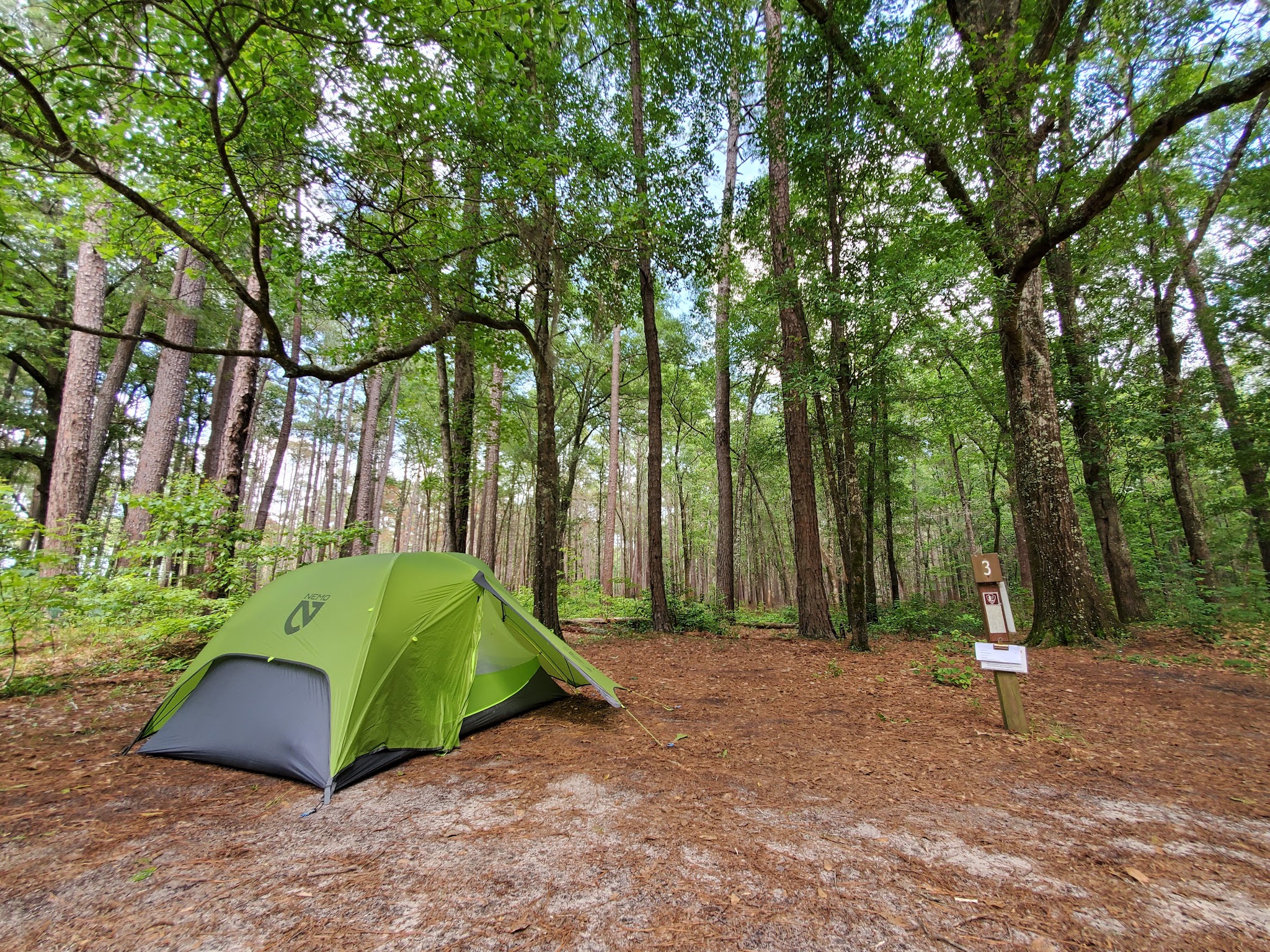 Bluff Hike In Camping