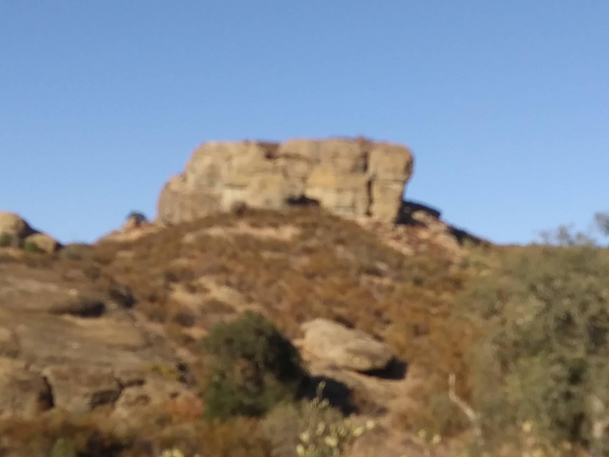 Buck Spring Campground