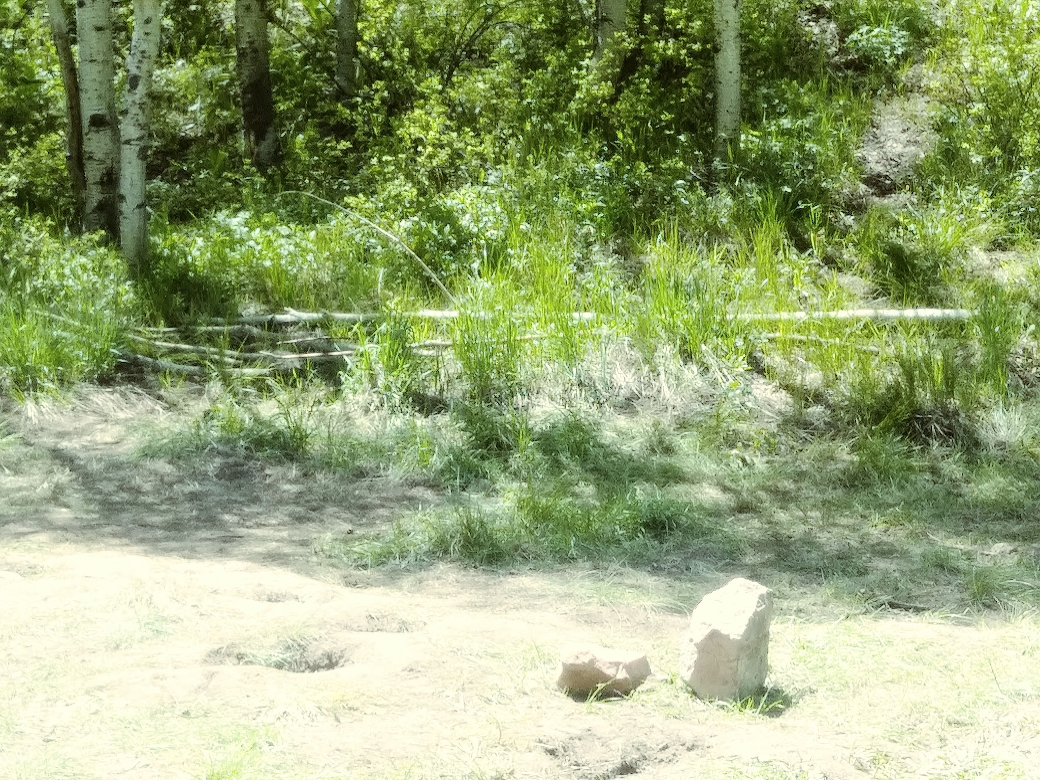 Fish Creek Campground