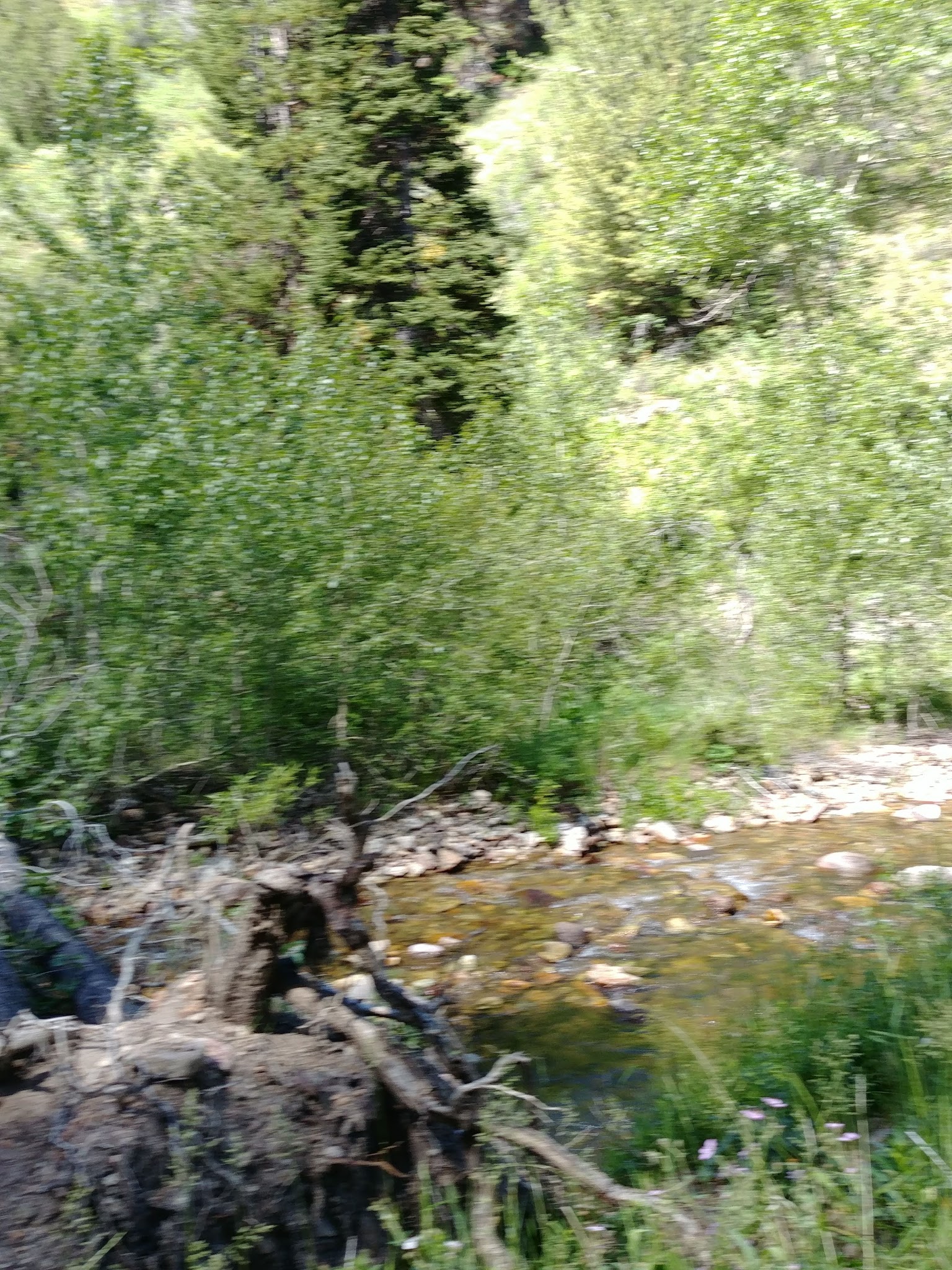 Pine Creek Campground