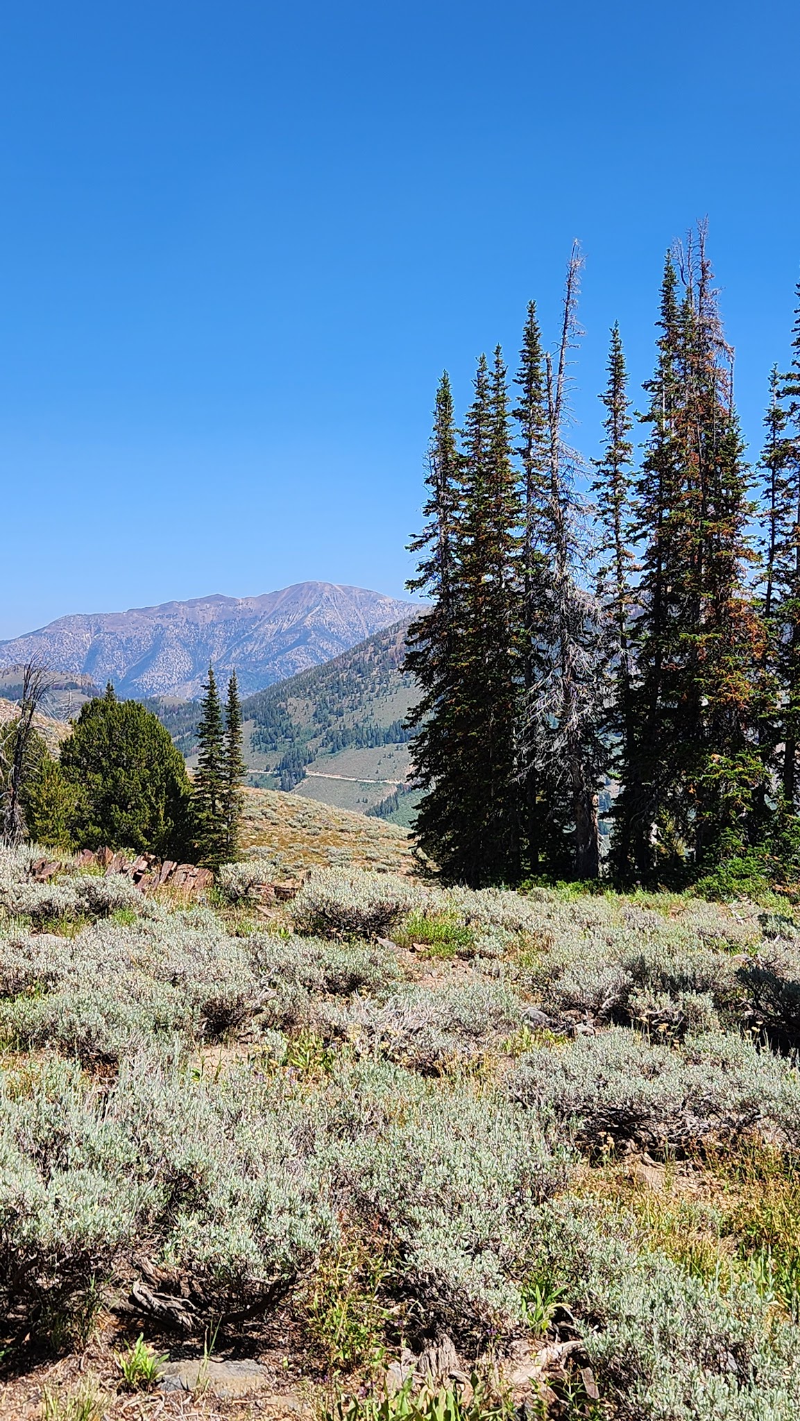 Upper Bluster Campground