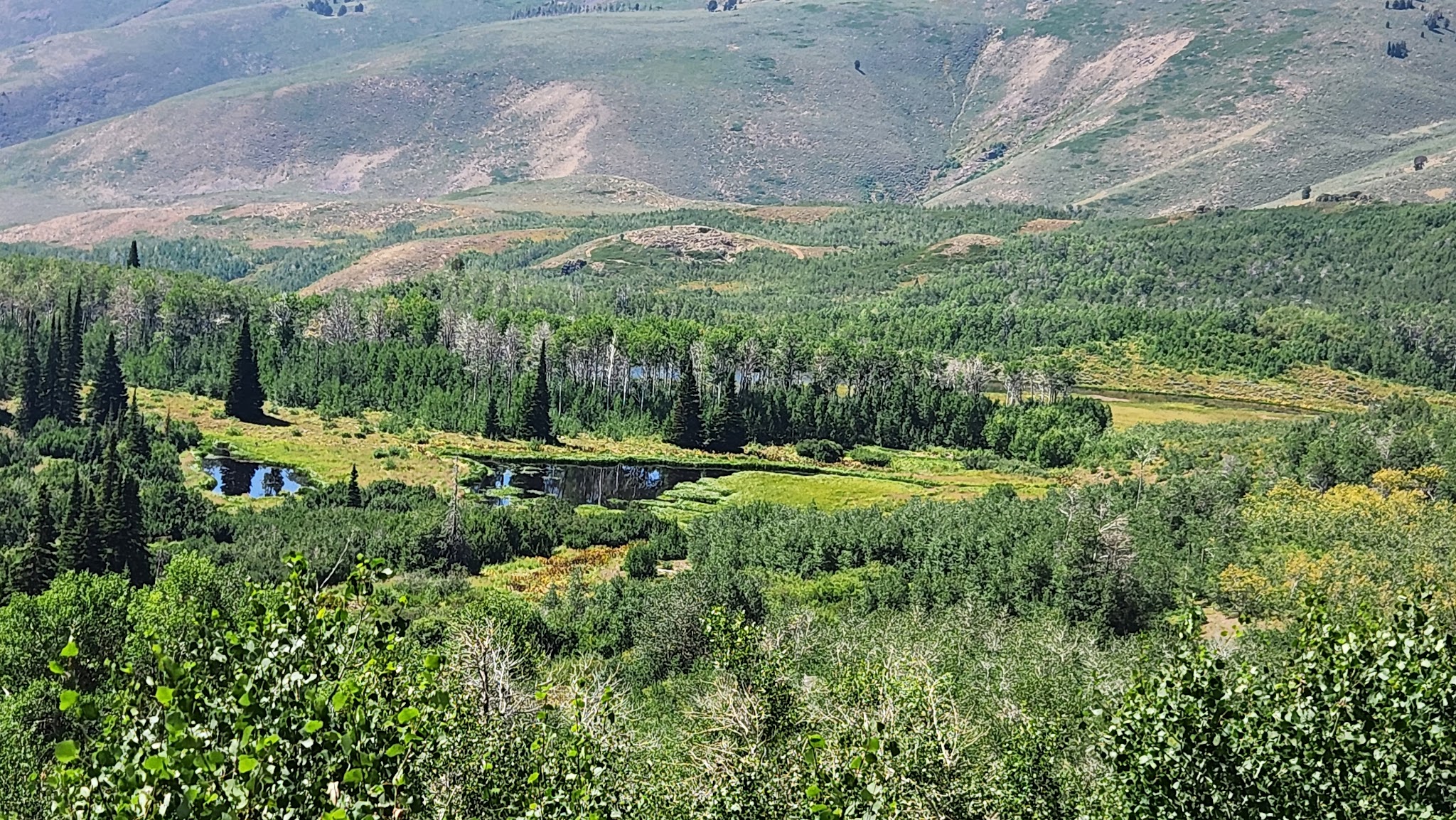 Upper Bluster Campground