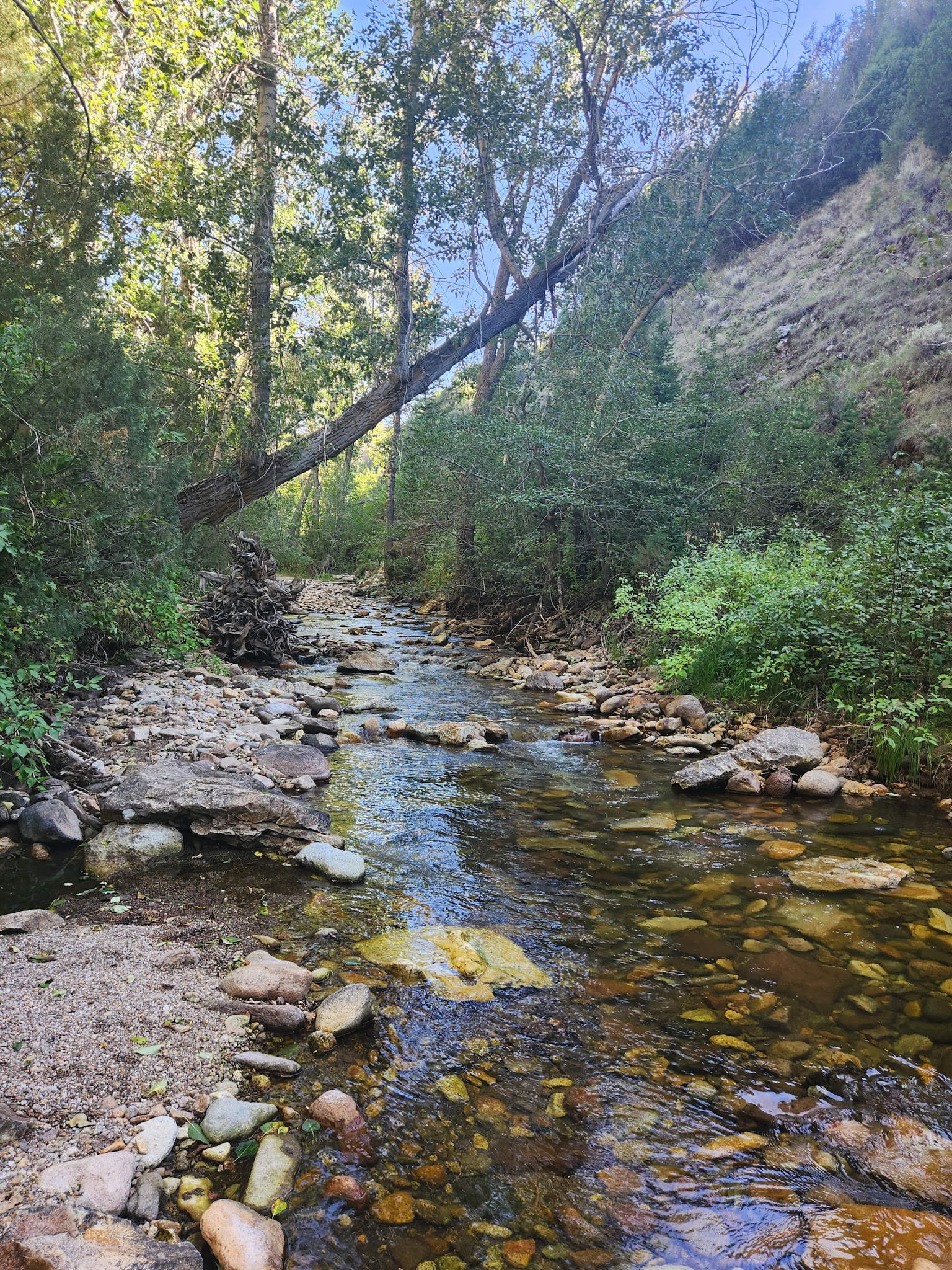 Upper Bluster Campground