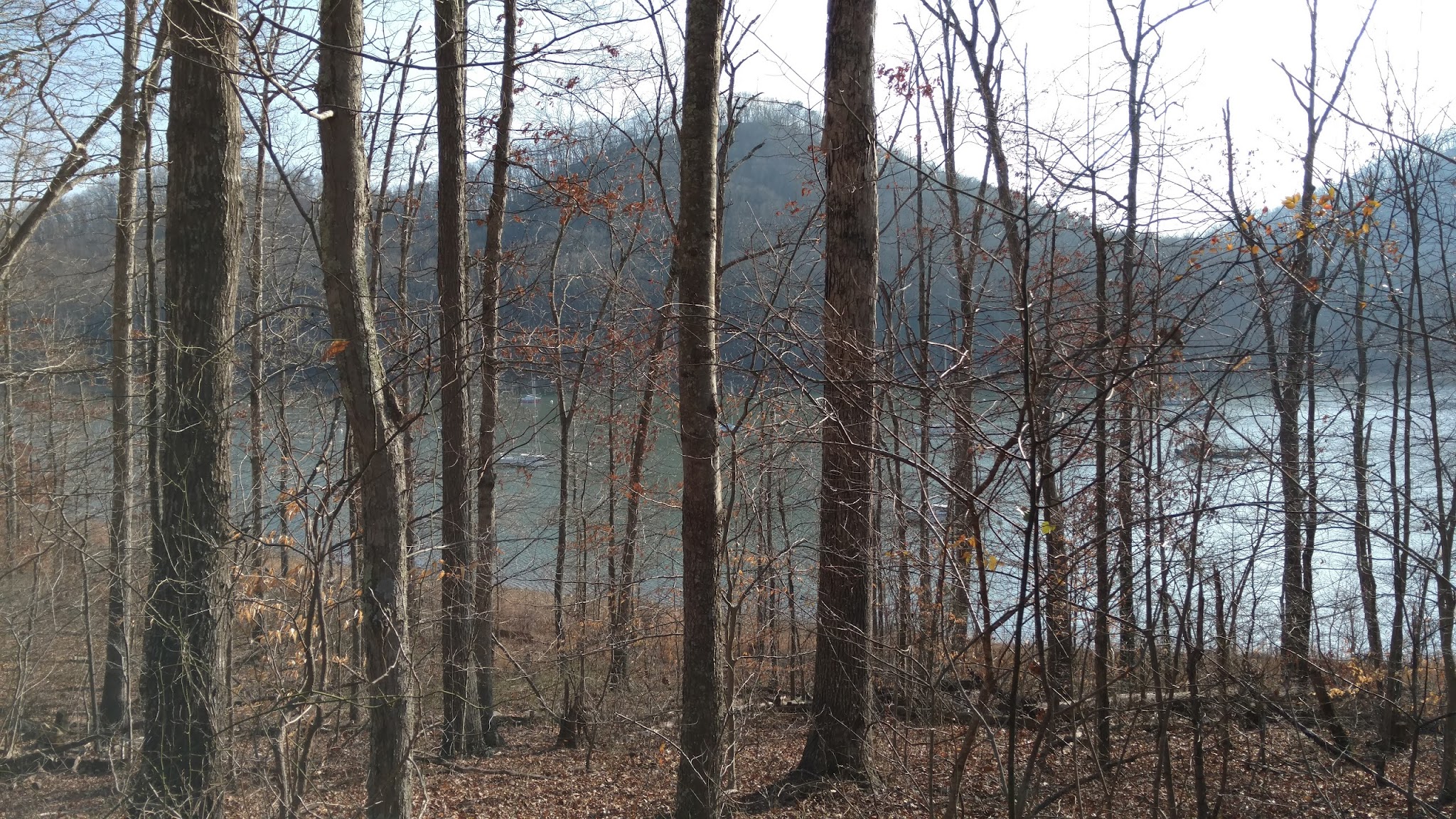 Boat Gunnel Group Campground