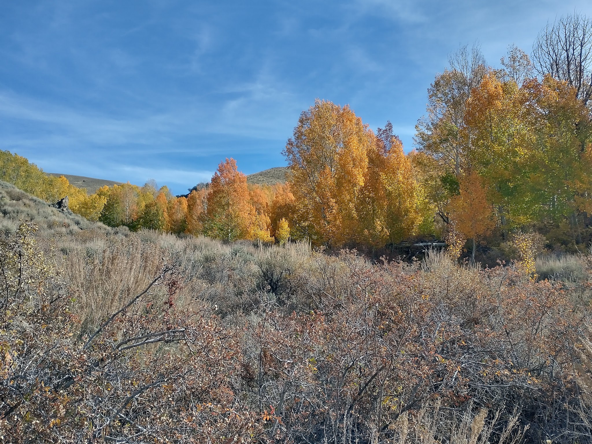 Bob Scott Campground