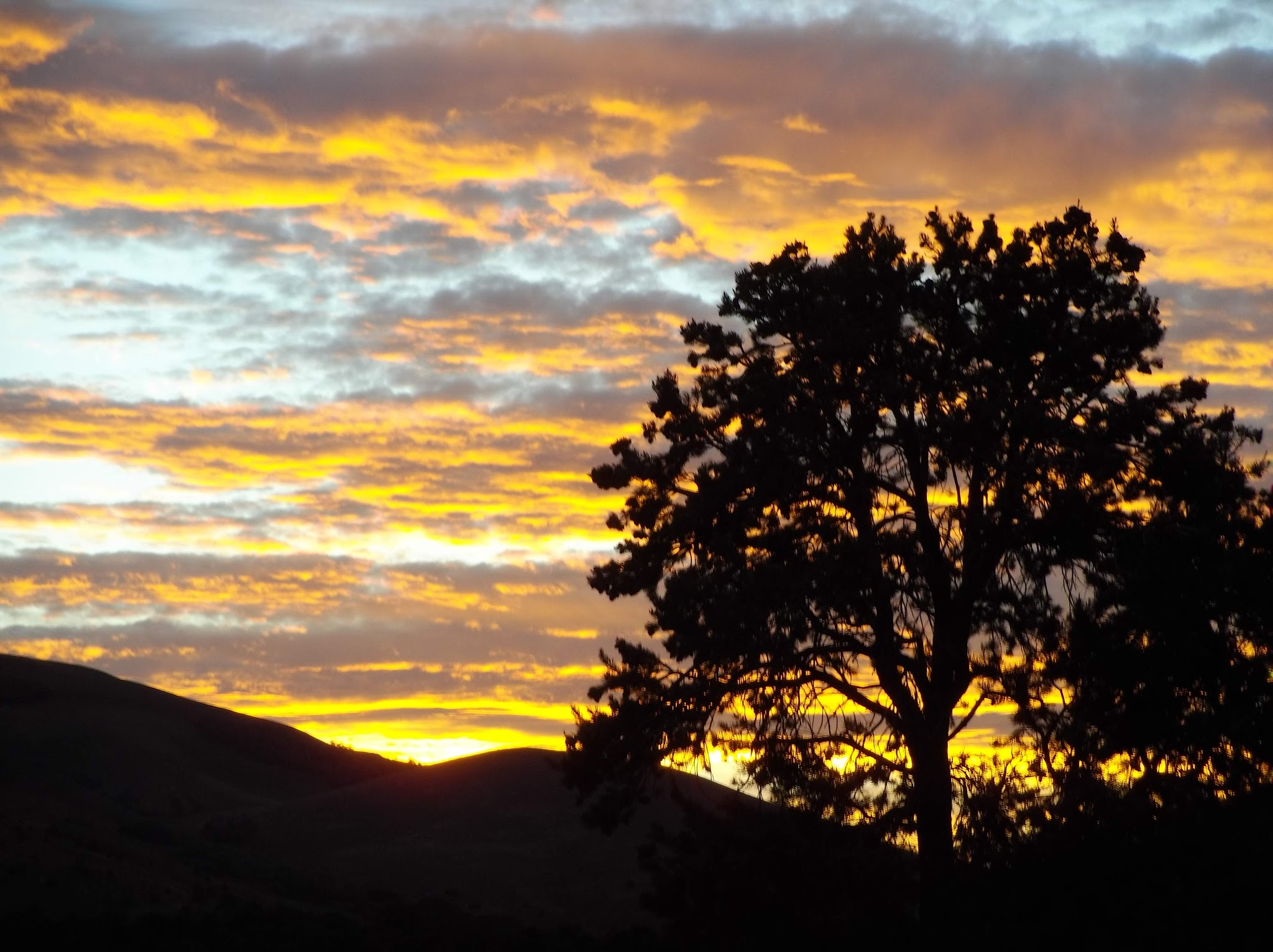 Bob Scott Campground