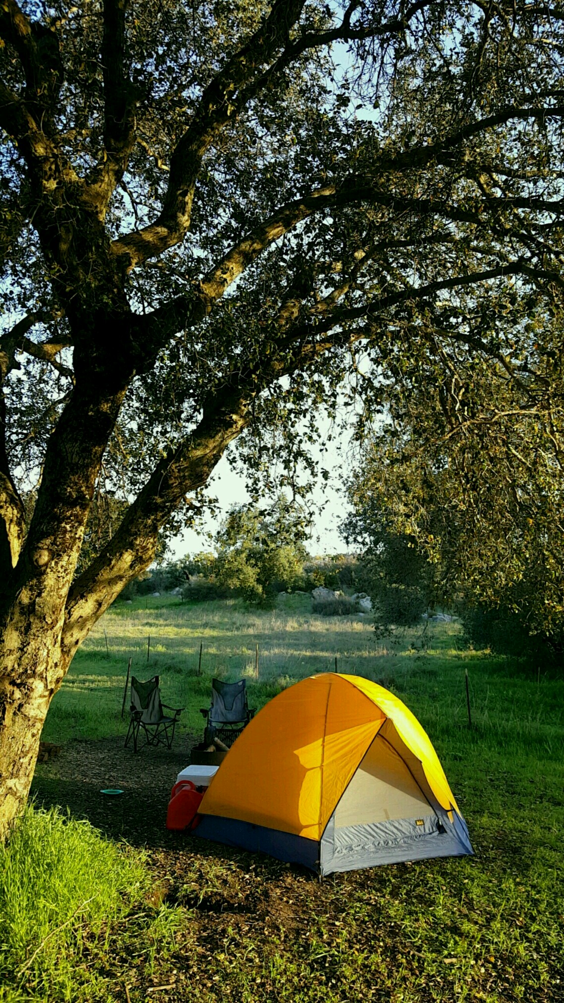 Bobcat Meadow Campground