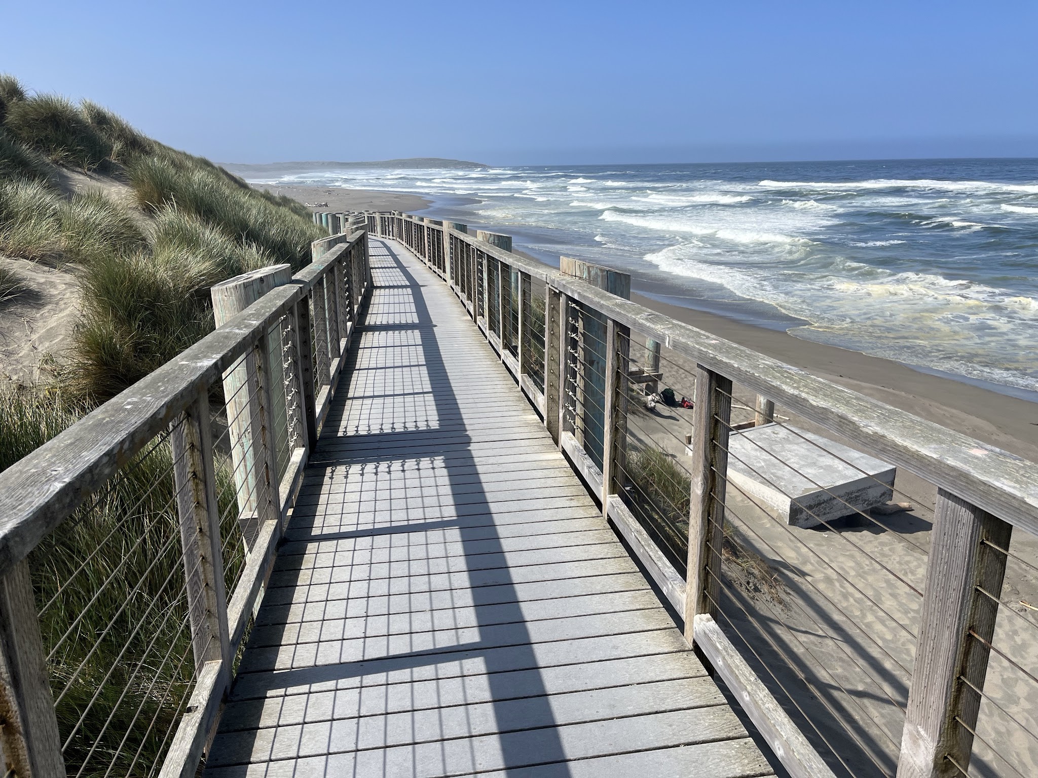 Bodega Dunes Campground - Sonoma Coast State Park