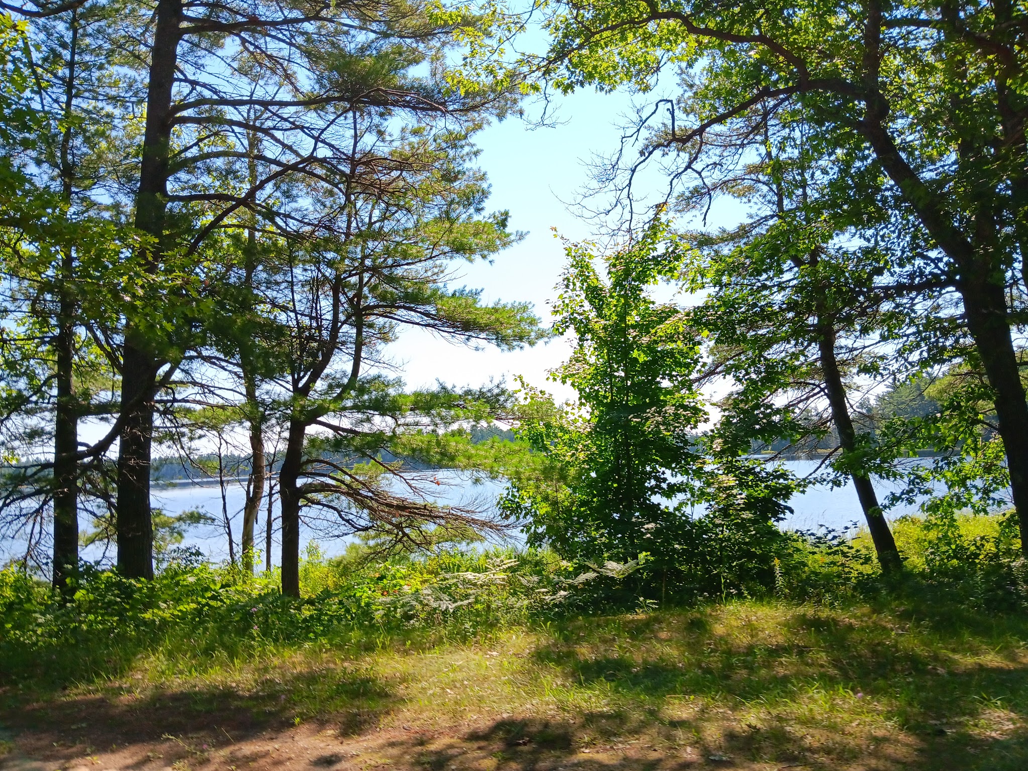 Bodi Lake State Forest Campground