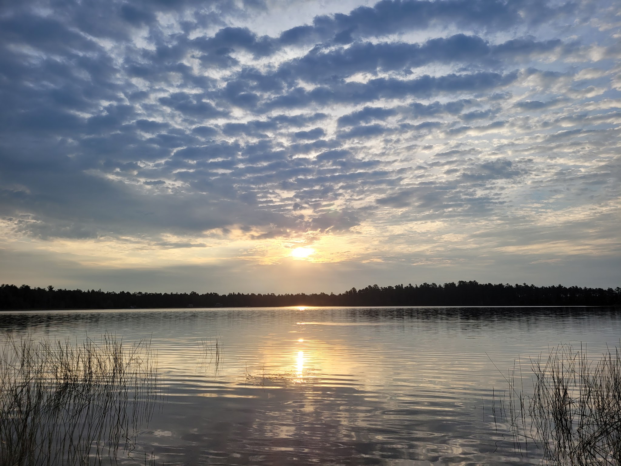 Bodi Lake State Forest Campground