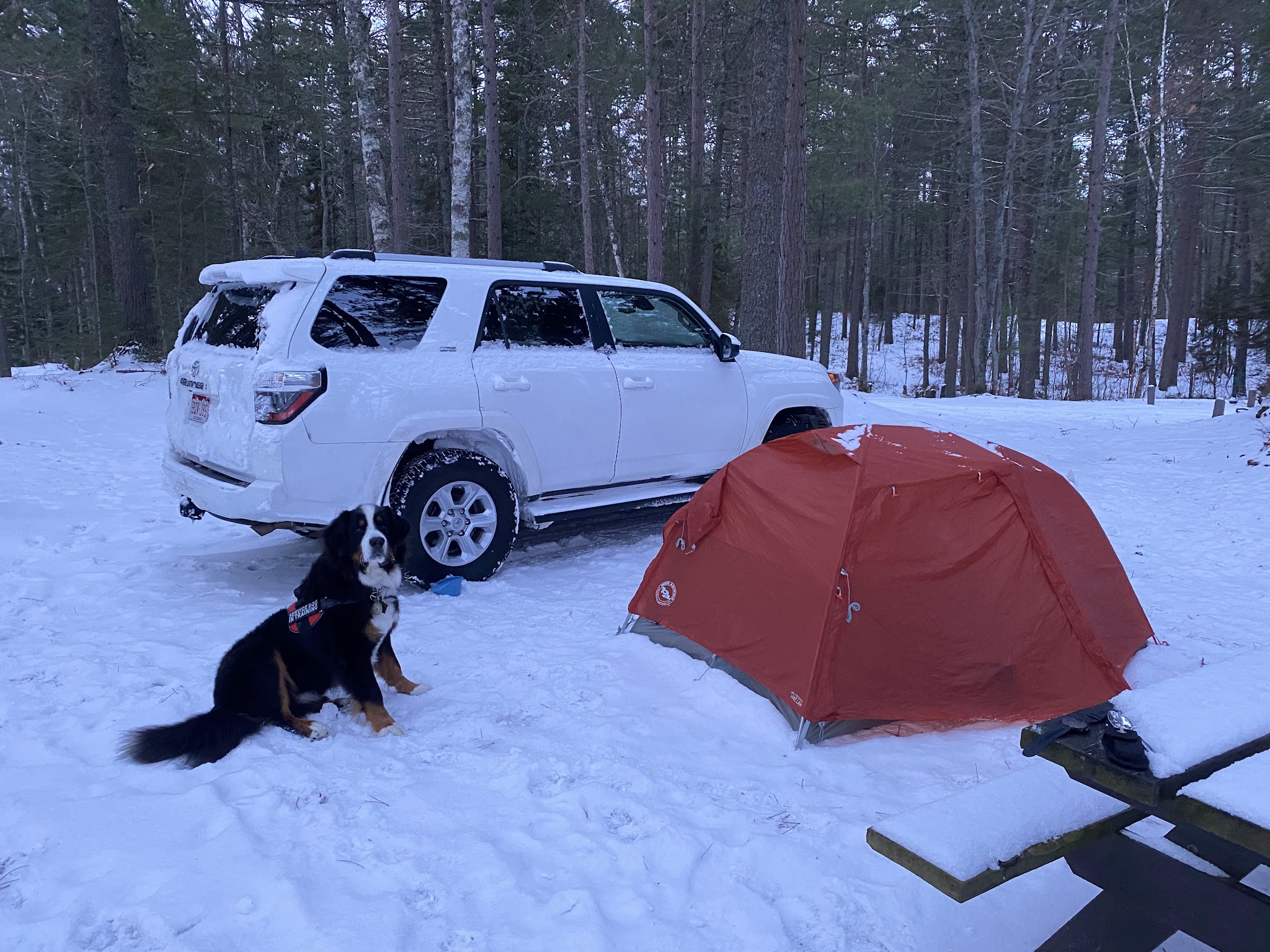 Bodi Lake State Forest Campground