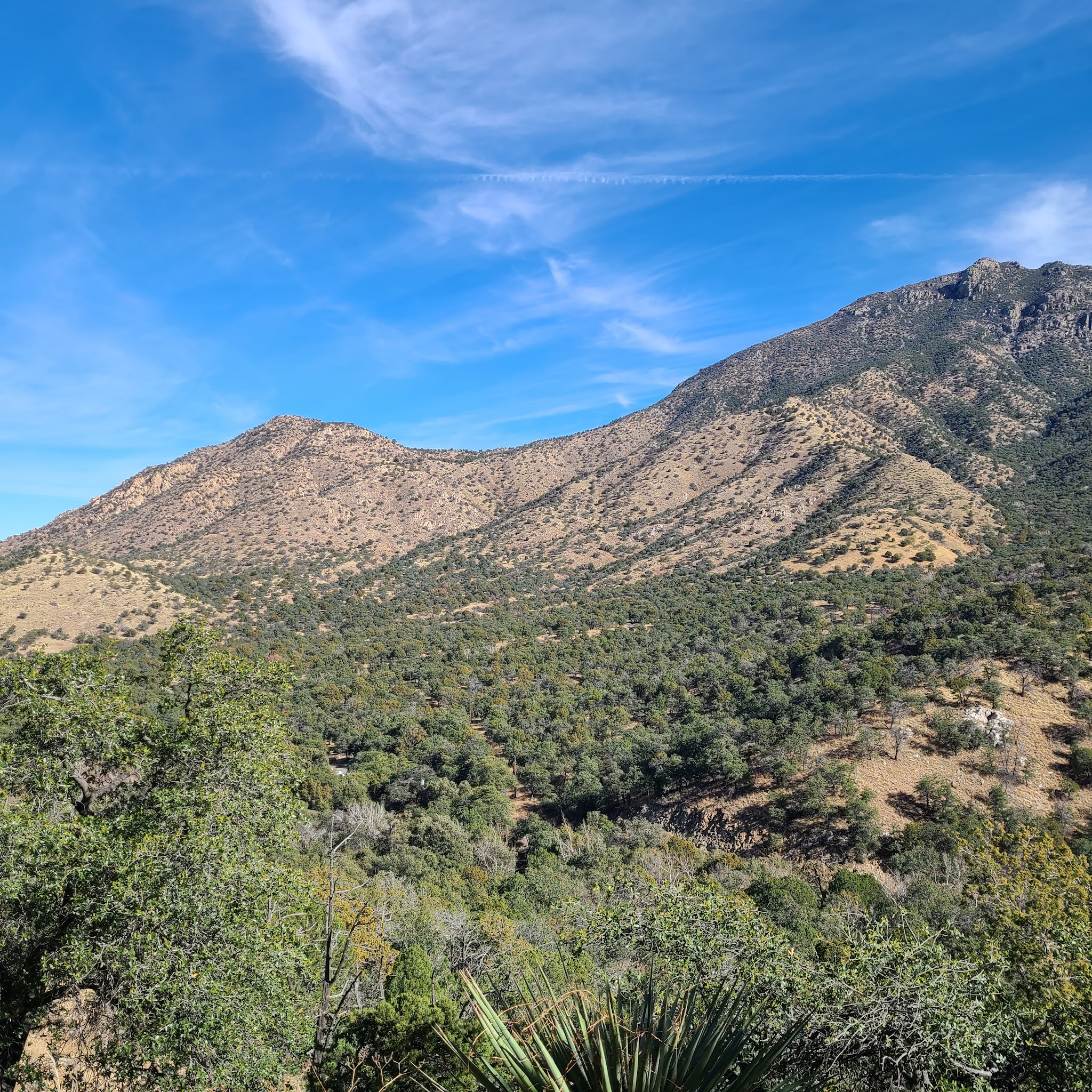 Bog Springs Campground